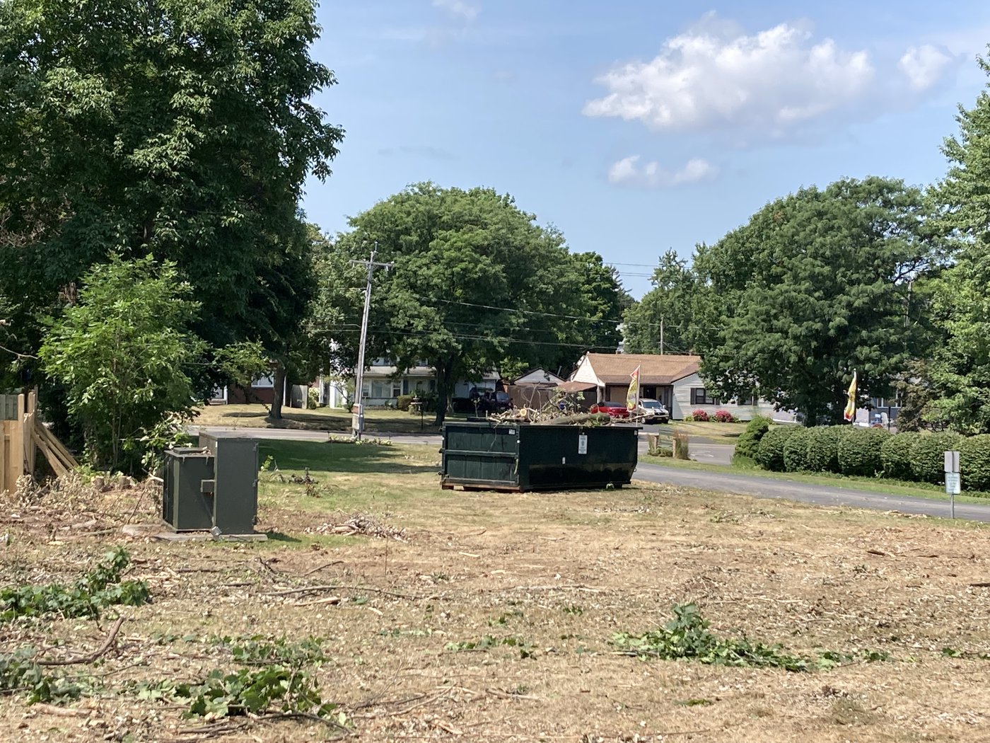 picture of front lawn during tree removal process