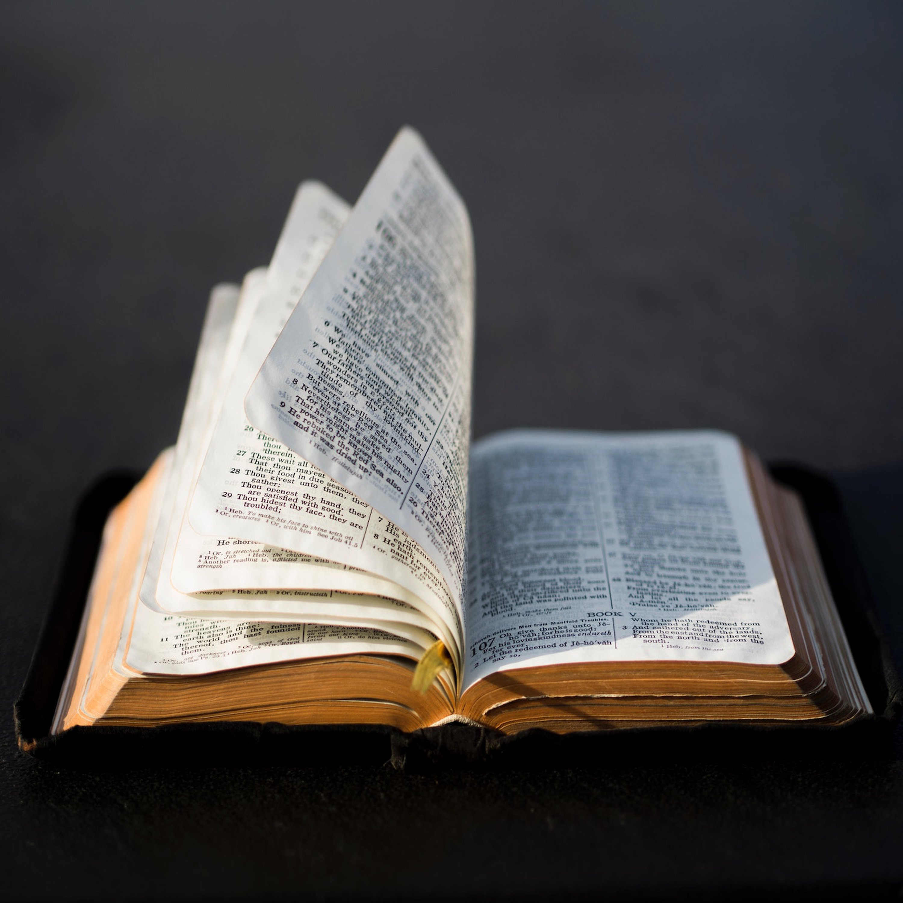 State of the Church - Romans 15:1-7 episode artwork