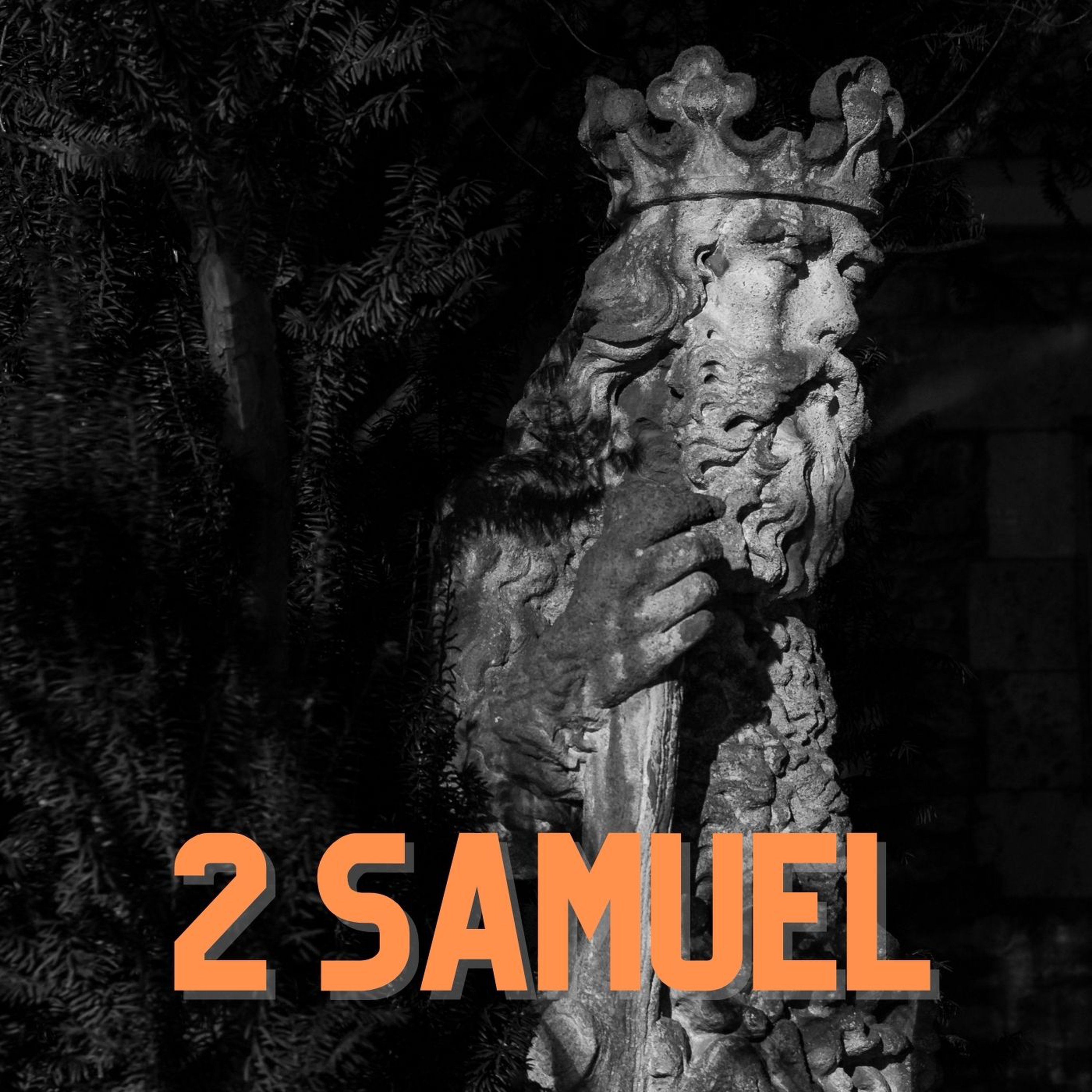 2 Samuel 10 Kindness Rejected (2016) episode artwork