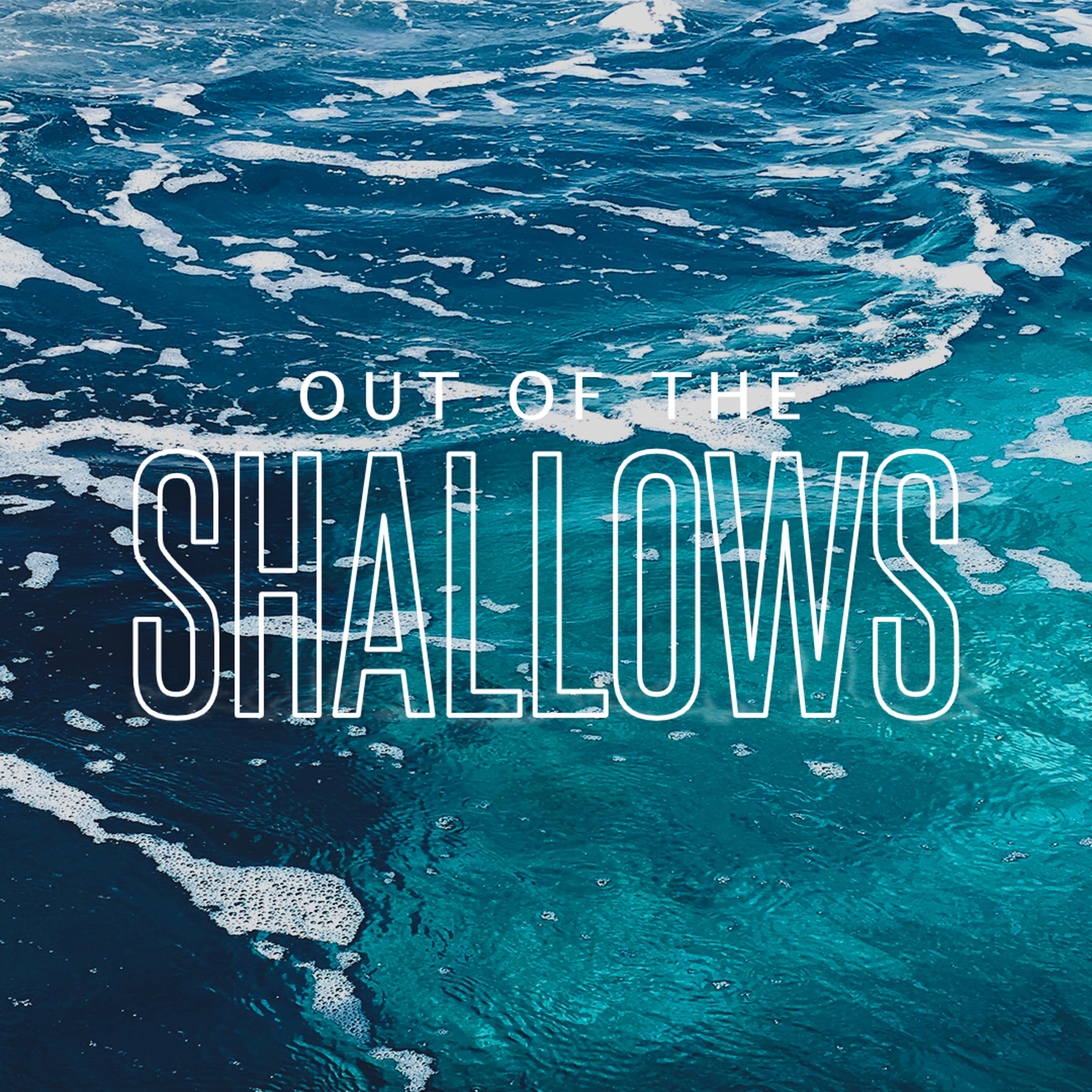 3.Out of the shallows