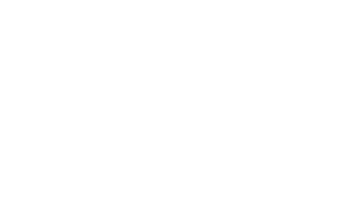 Paul's Vision For & Work of Gospel Ministry