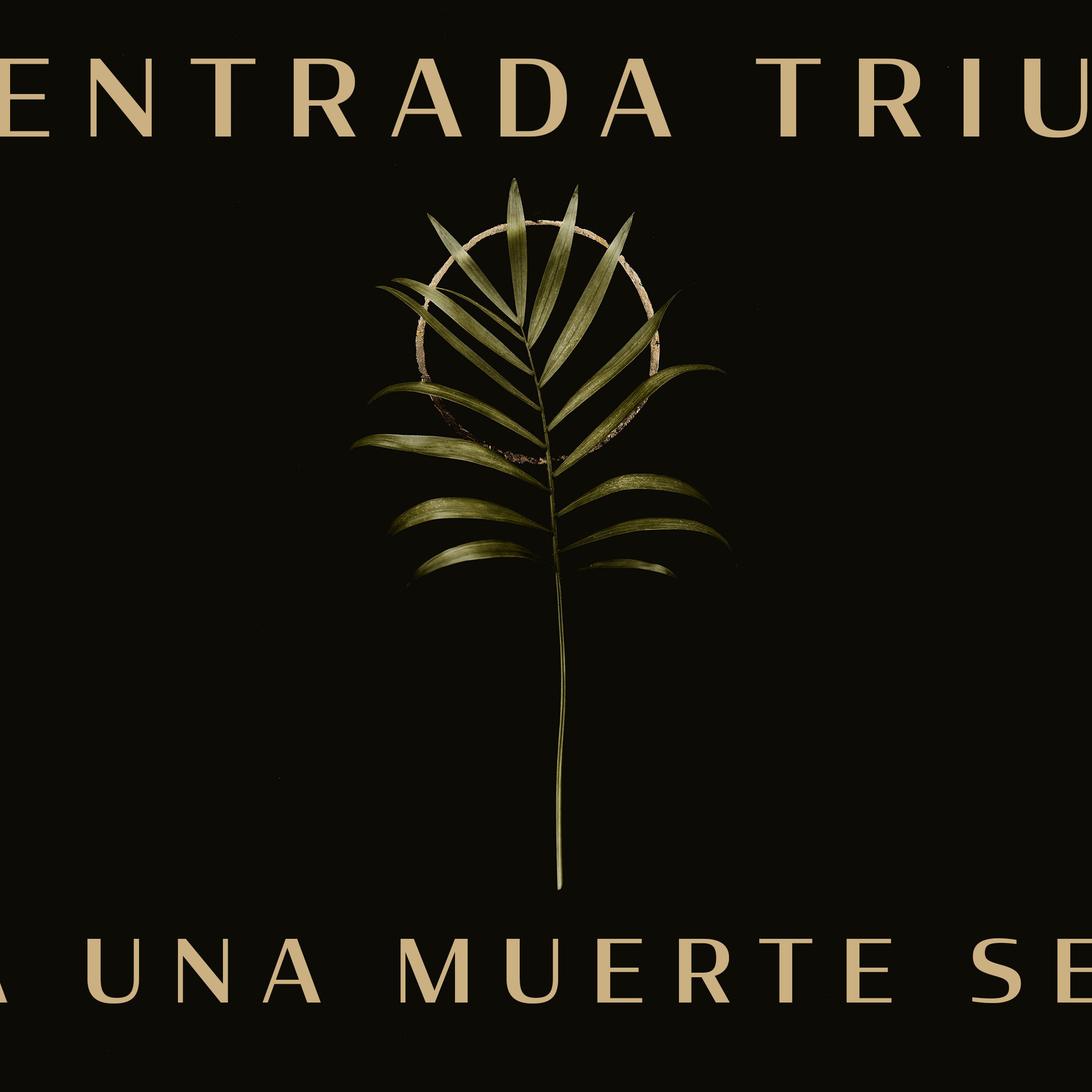 Una Entrada Triunfal Hacia Una Muerte Segura episode artwork
