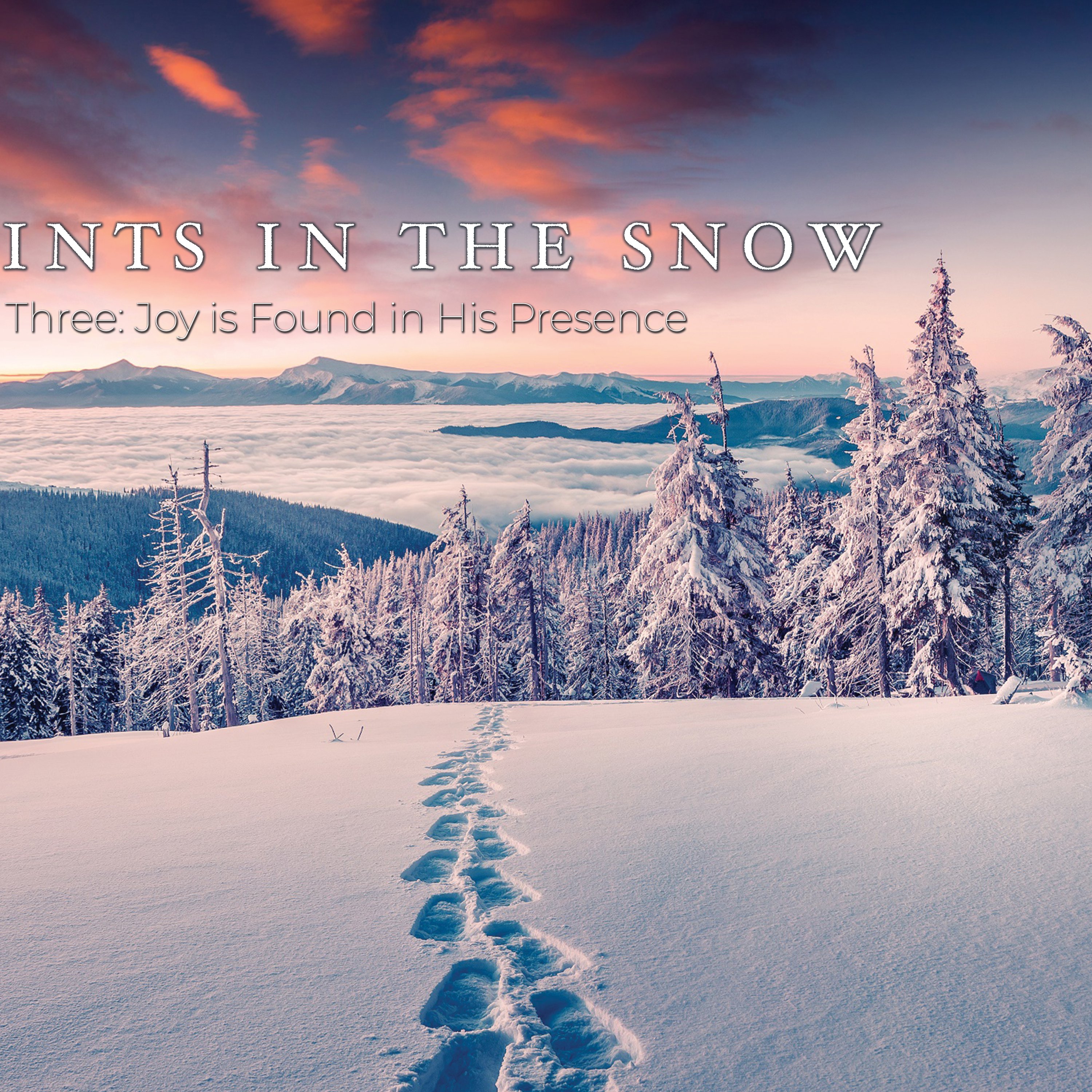 Advent Week Three: Joy Is Found in His Presence episode artwork