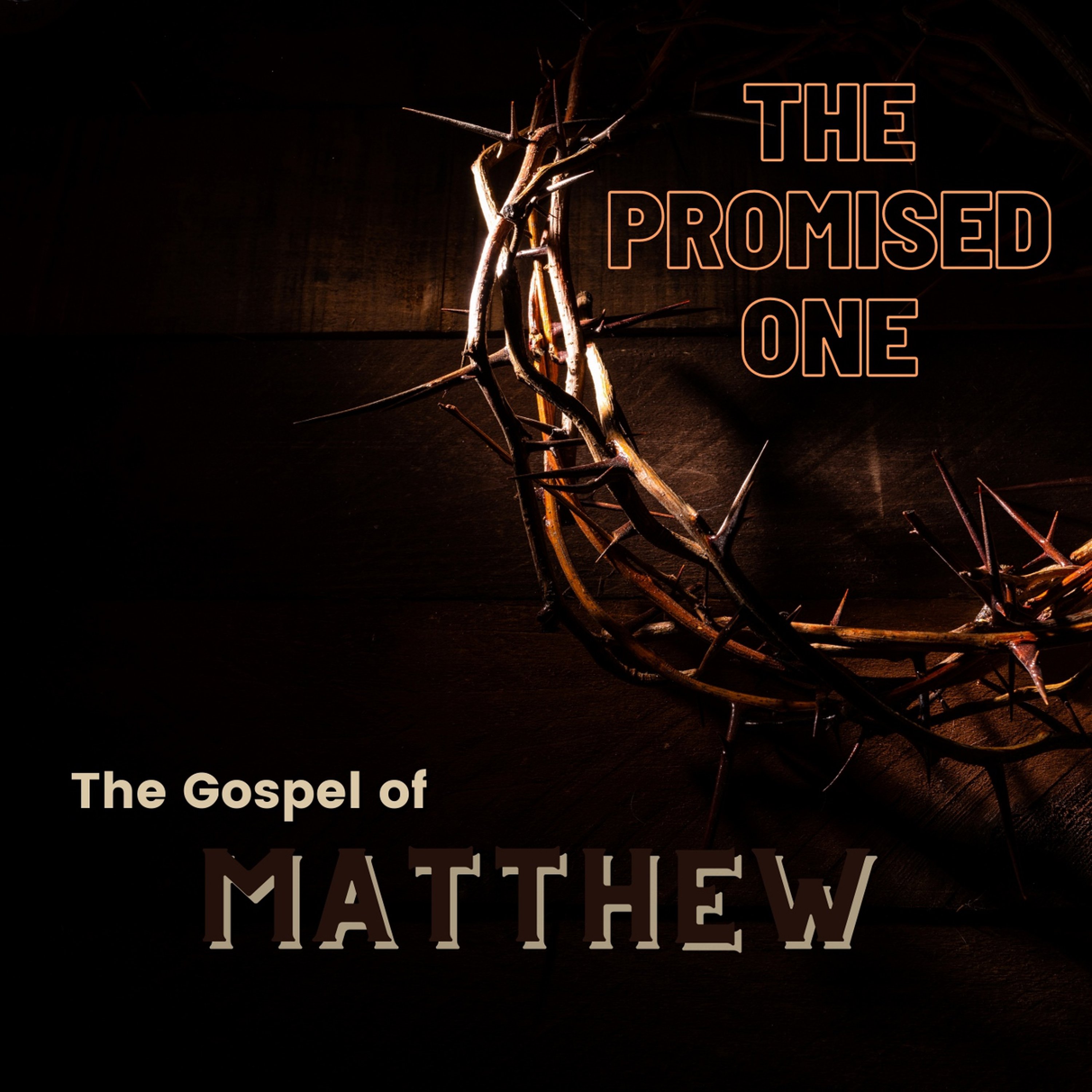 Matthew 24 End Time (2018) episode artwork