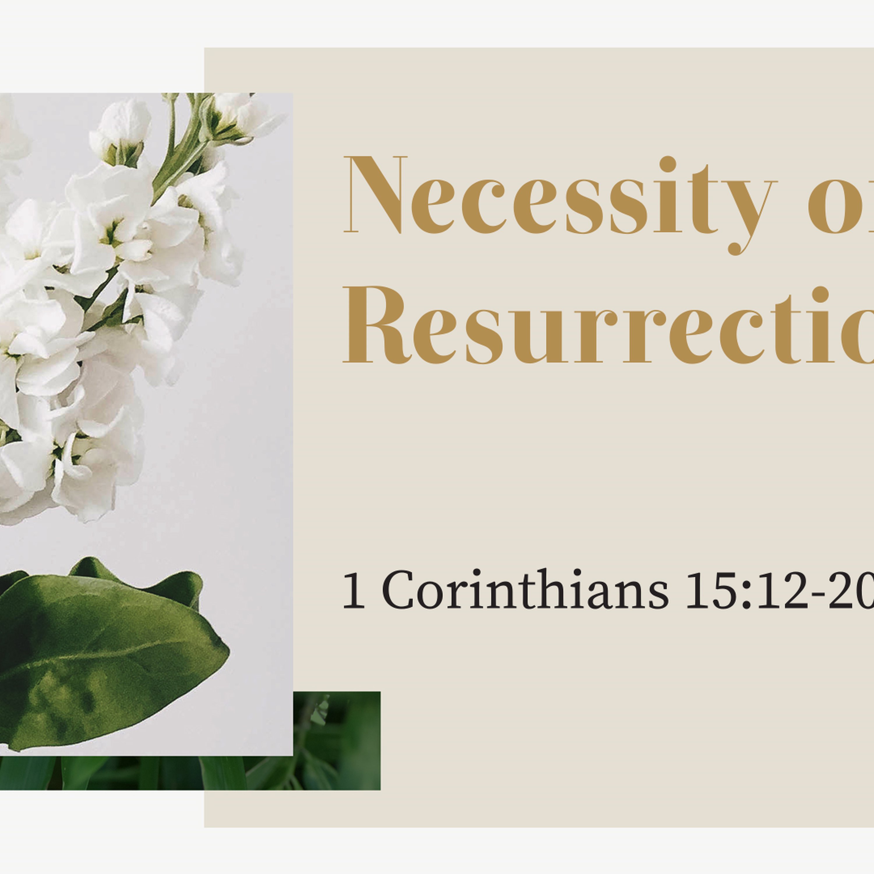 Necessity of the Resurrection episode artwork
