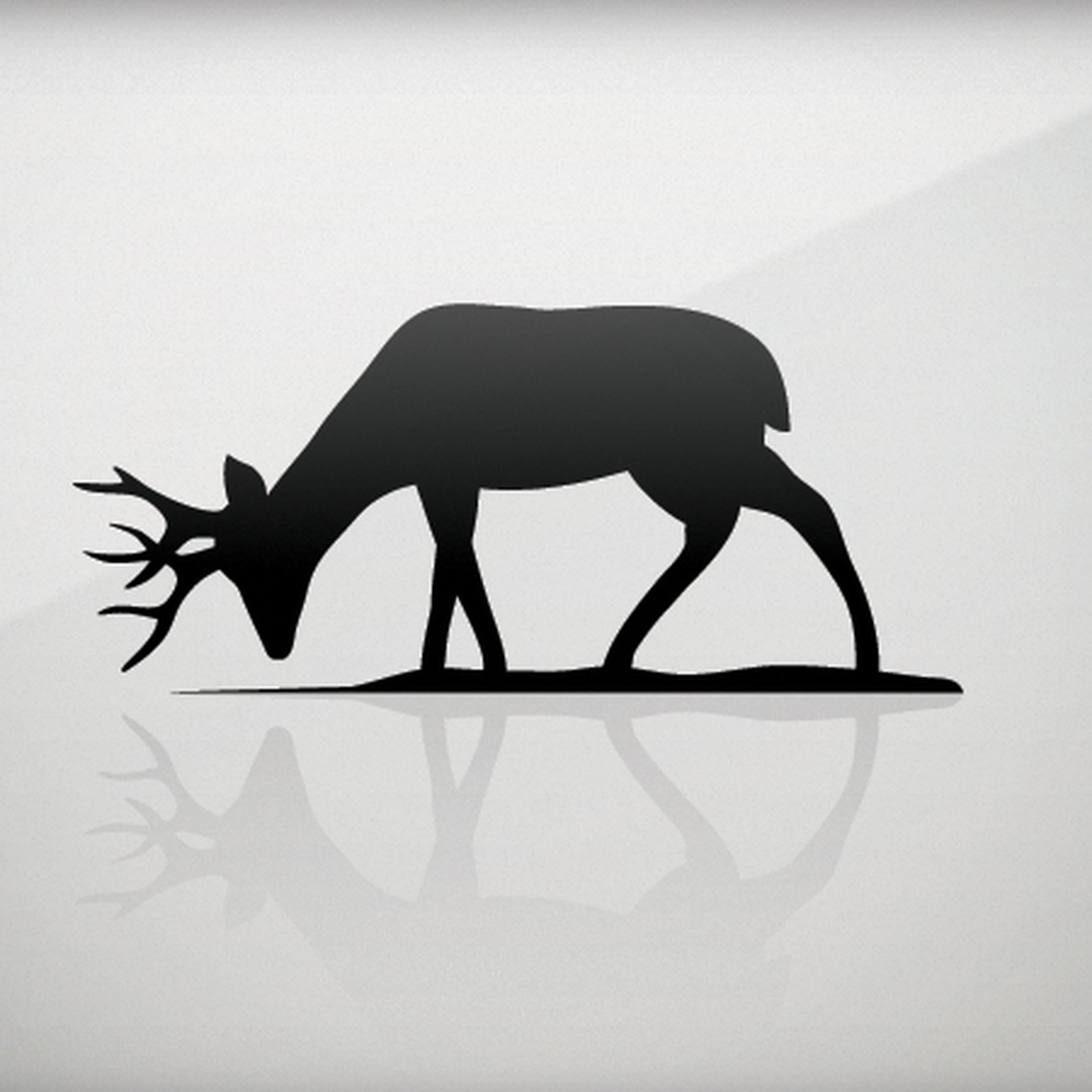 Covenant Fellowship Church