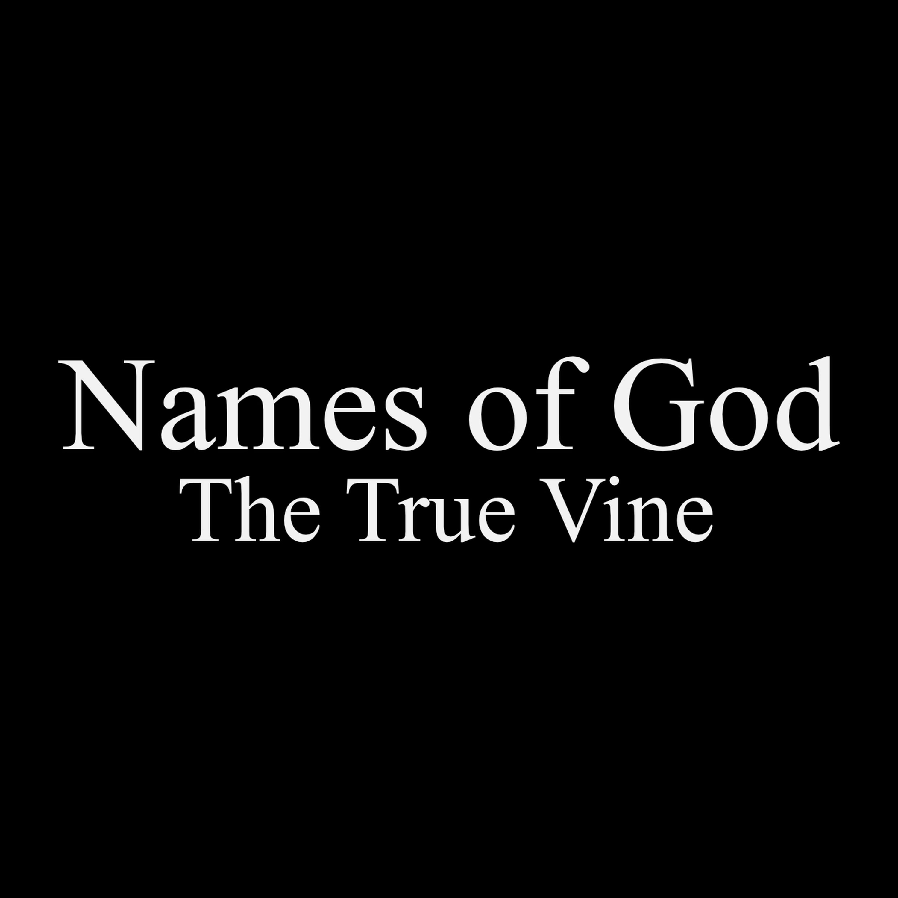 Names of God Part 2: The True Vine