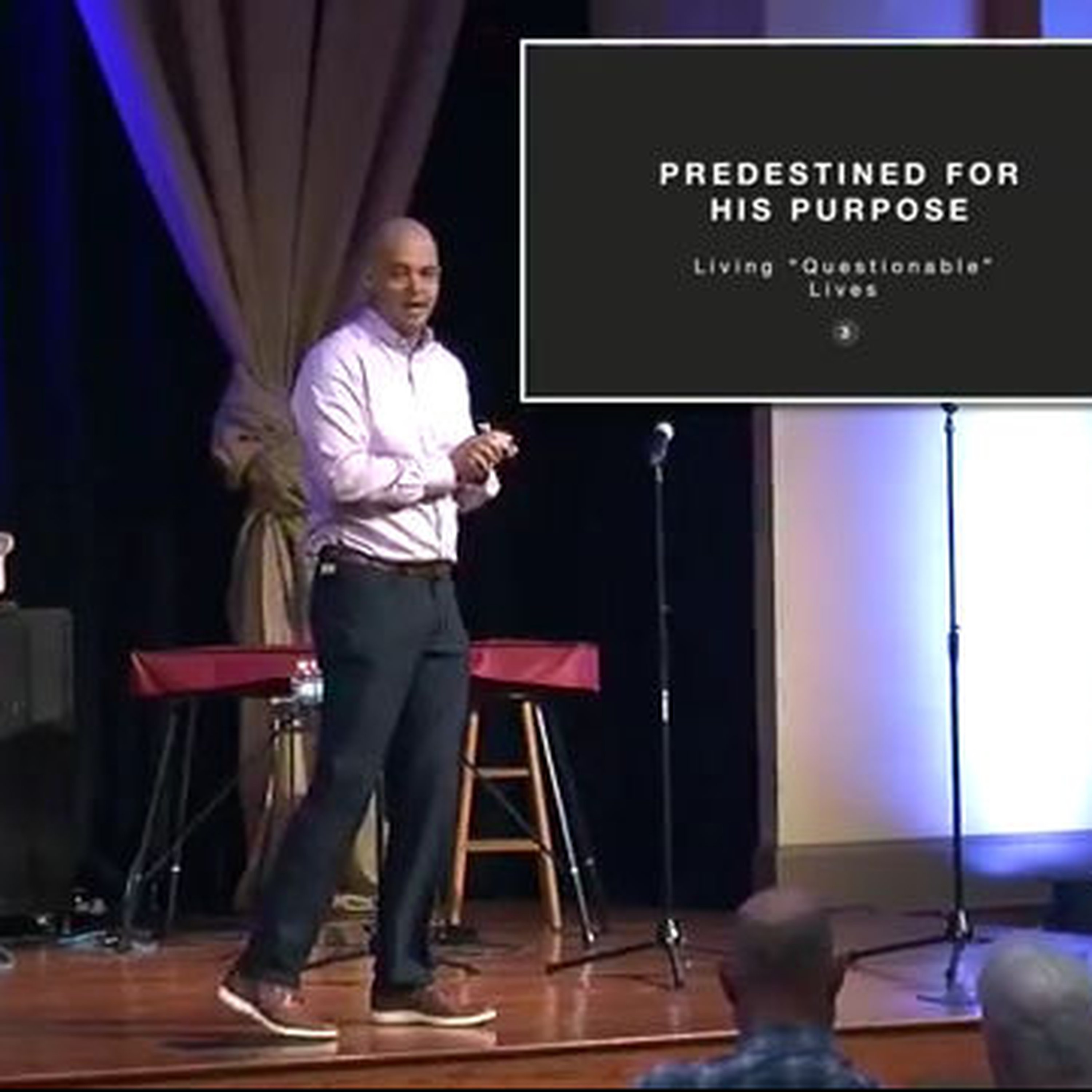 Predestined for His Purpose
