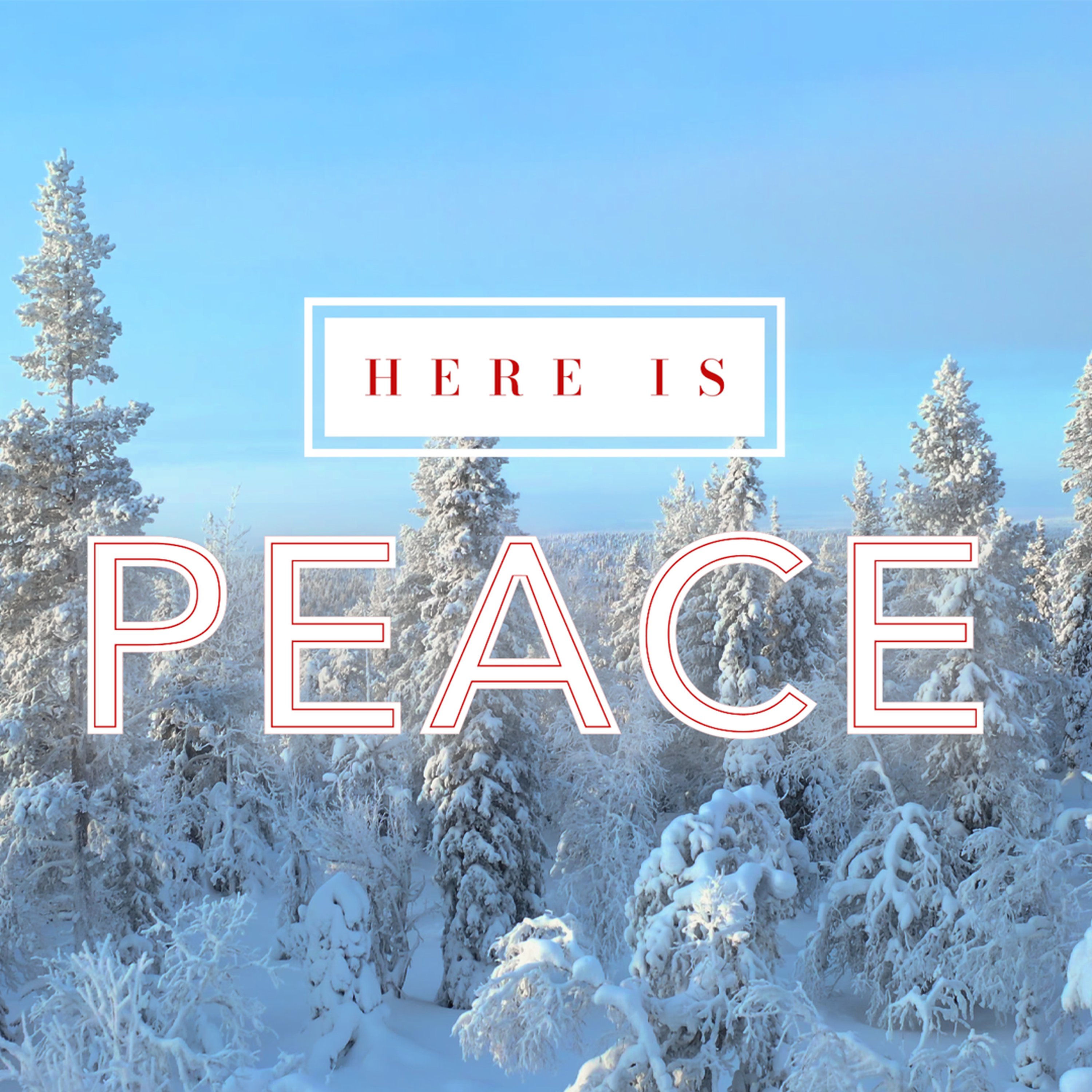 Finding Peace in the Storm