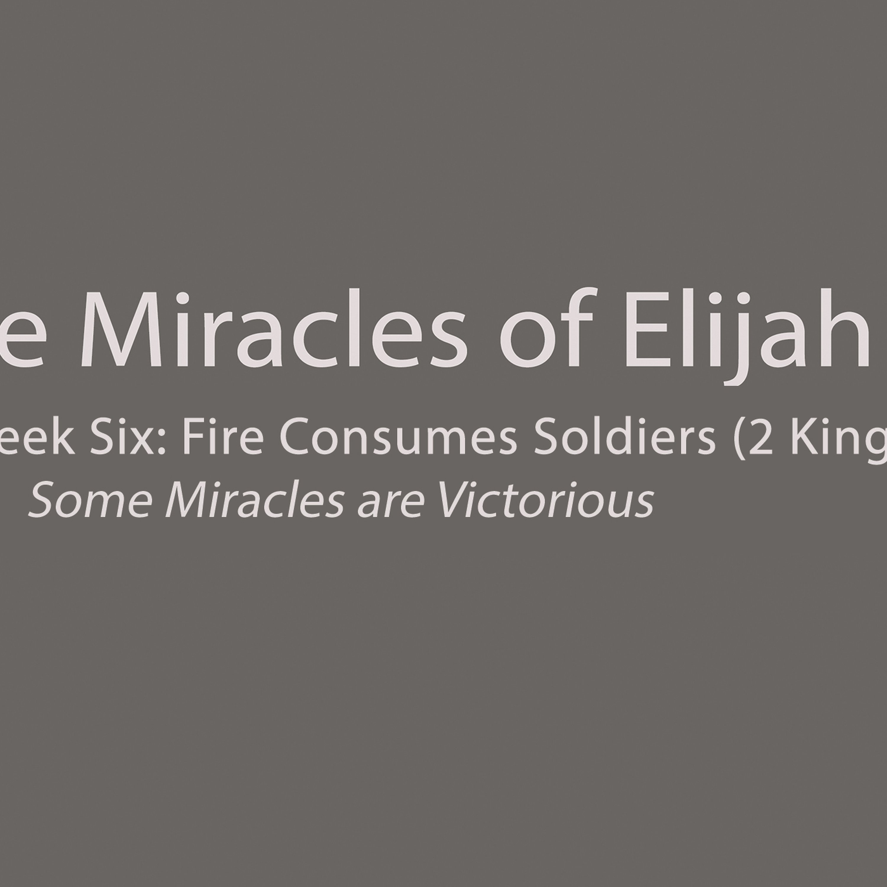 Fire Consumes Soldiers (1 Kings 1:10) episode artwork