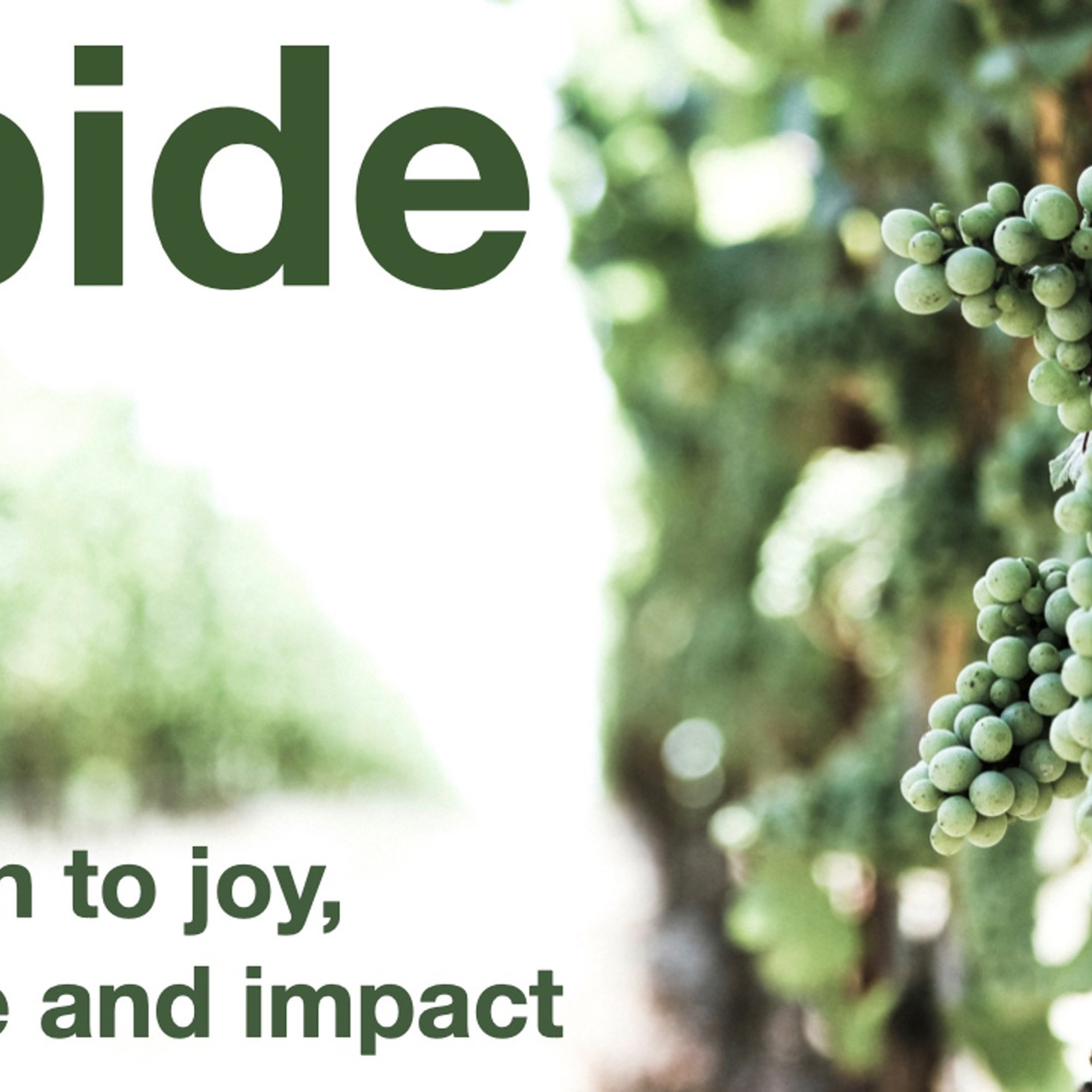 Abide episode artwork