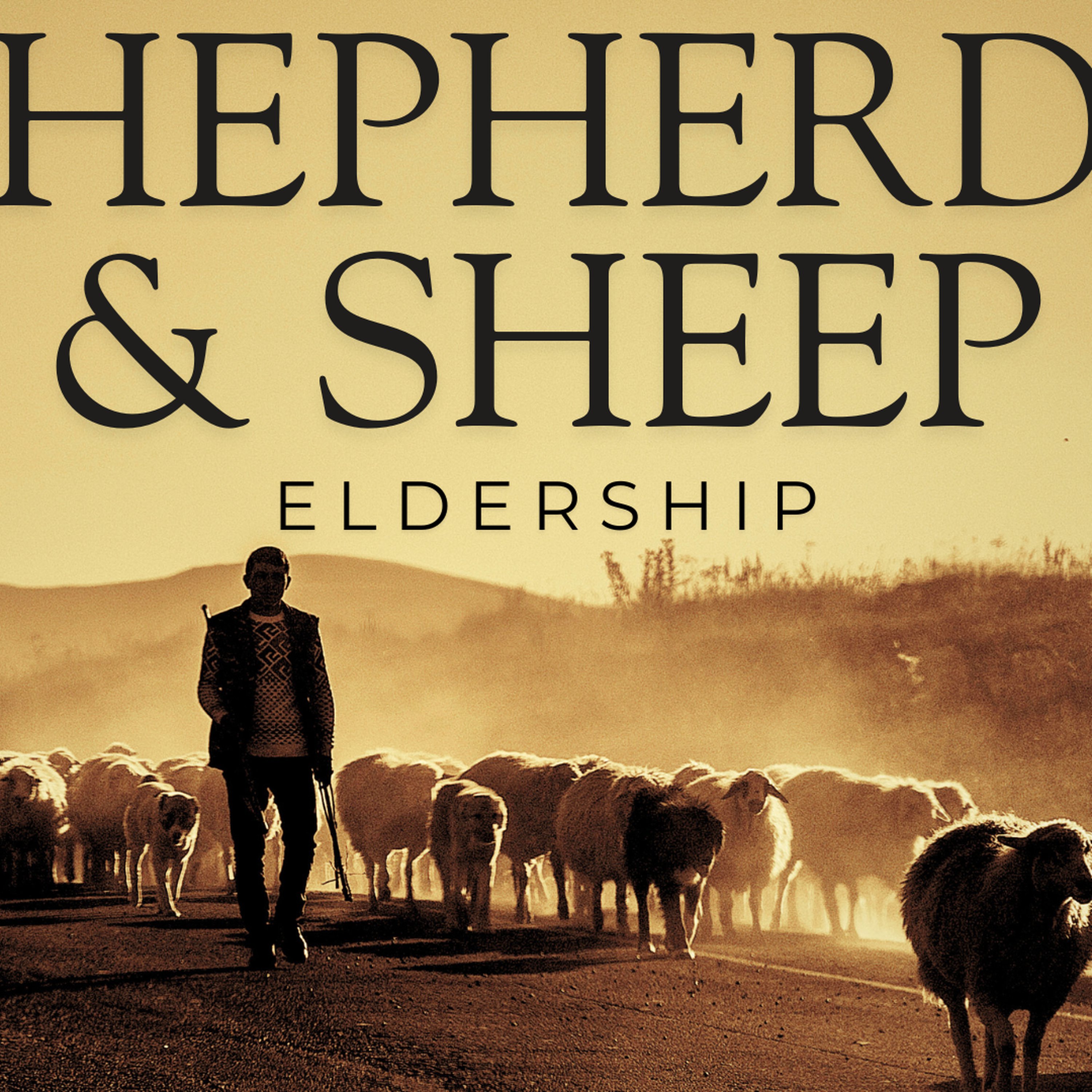 Shepherds and Sheep: Eldership - Part 2 episode artwork