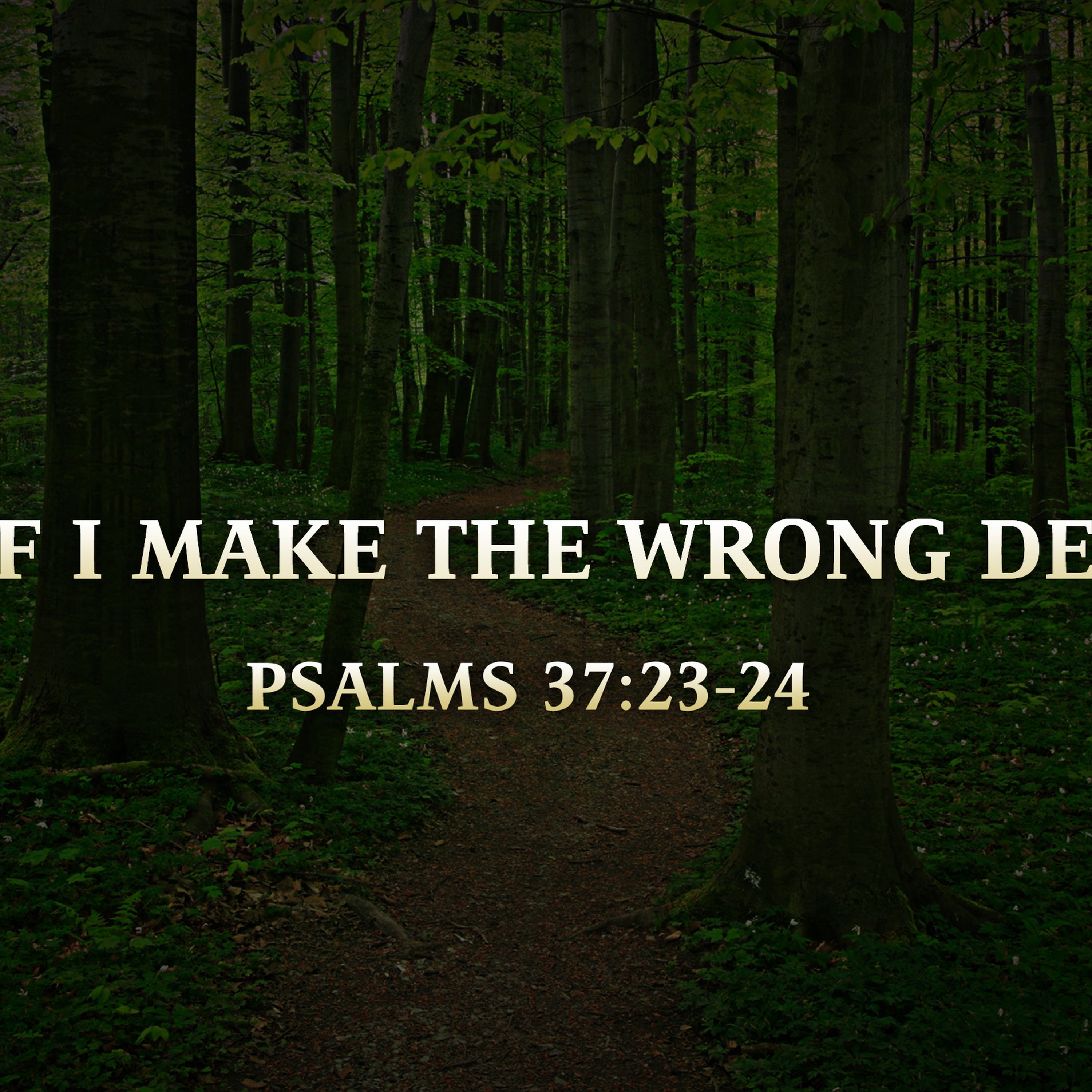 What if I Make the Wrong Decision? episode artwork