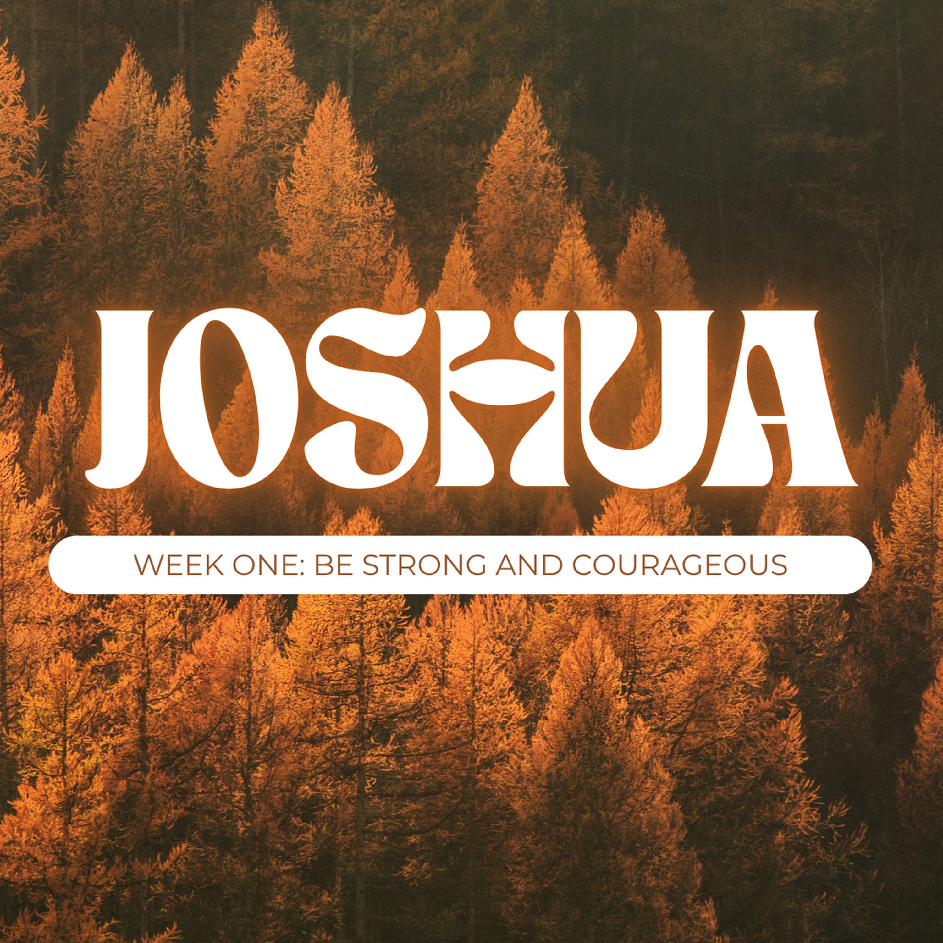Week One: Be Strong & Courageous episode artwork