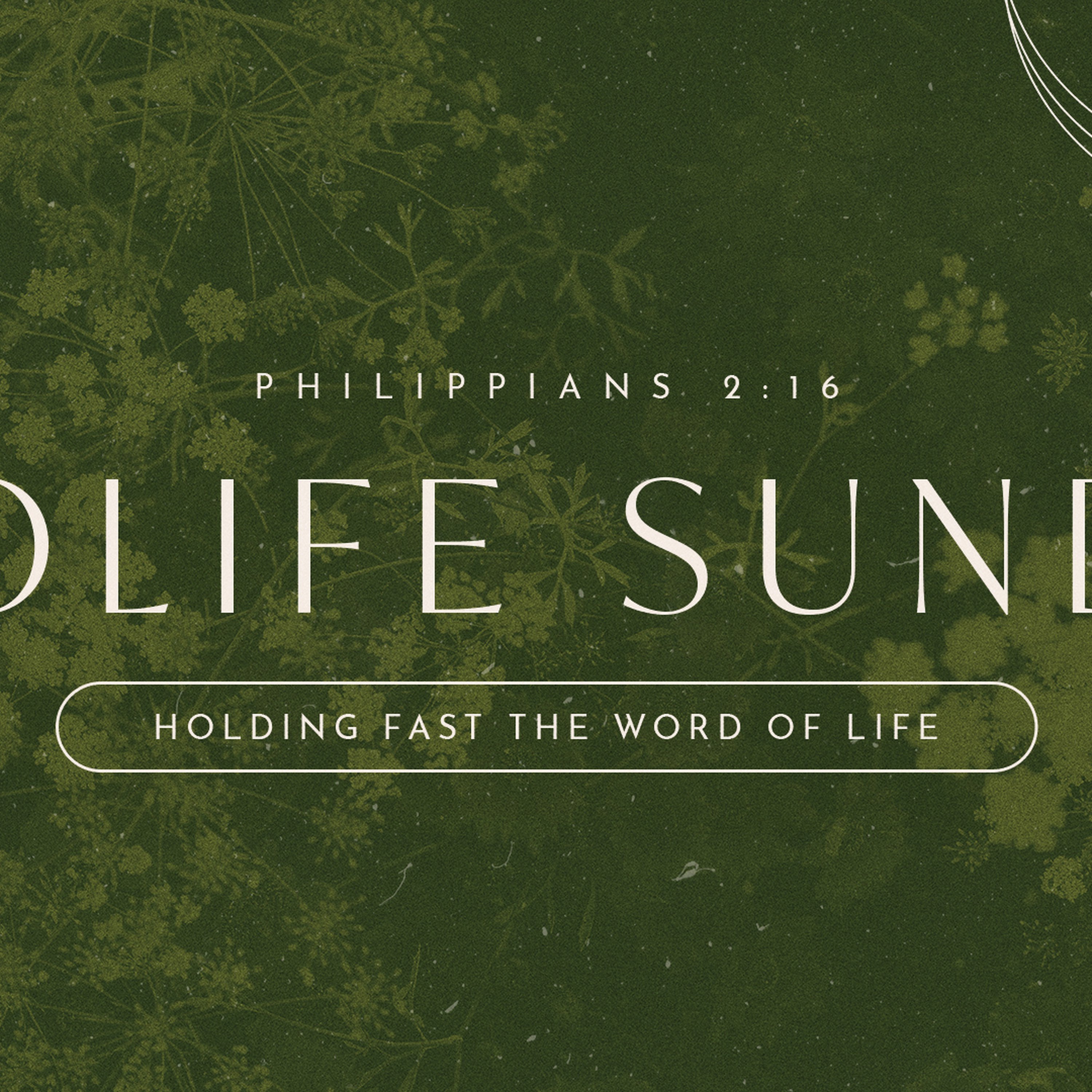 Philippians 2:16 | Holding Fast the Word of Life (Prolife Sunday) episode artwork