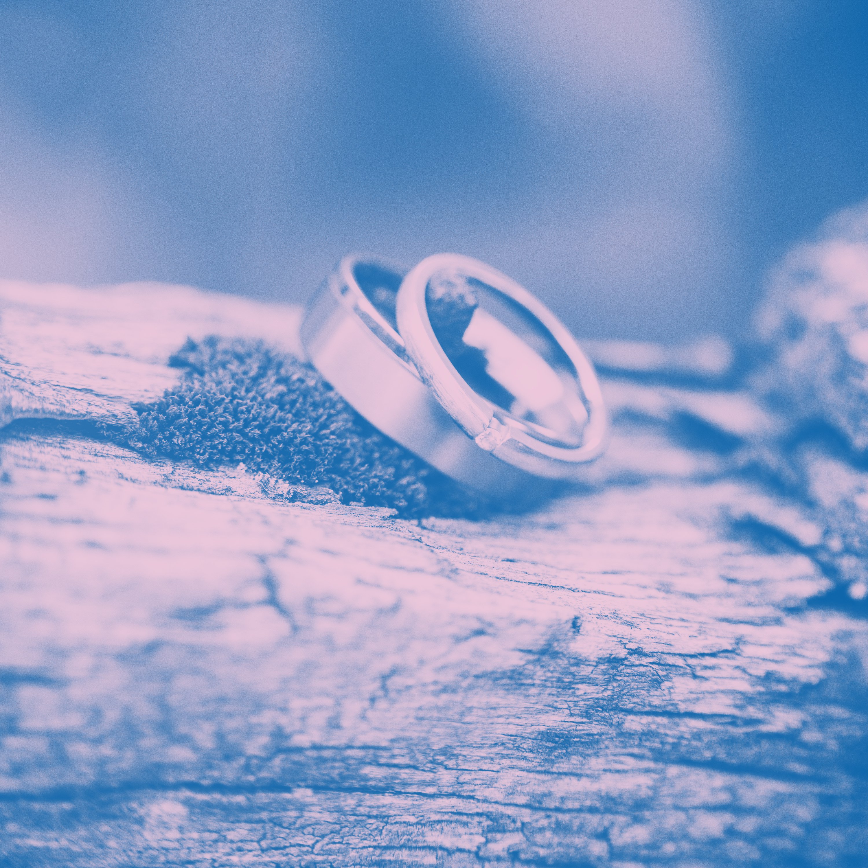 To Have and To Hold (Podcast)