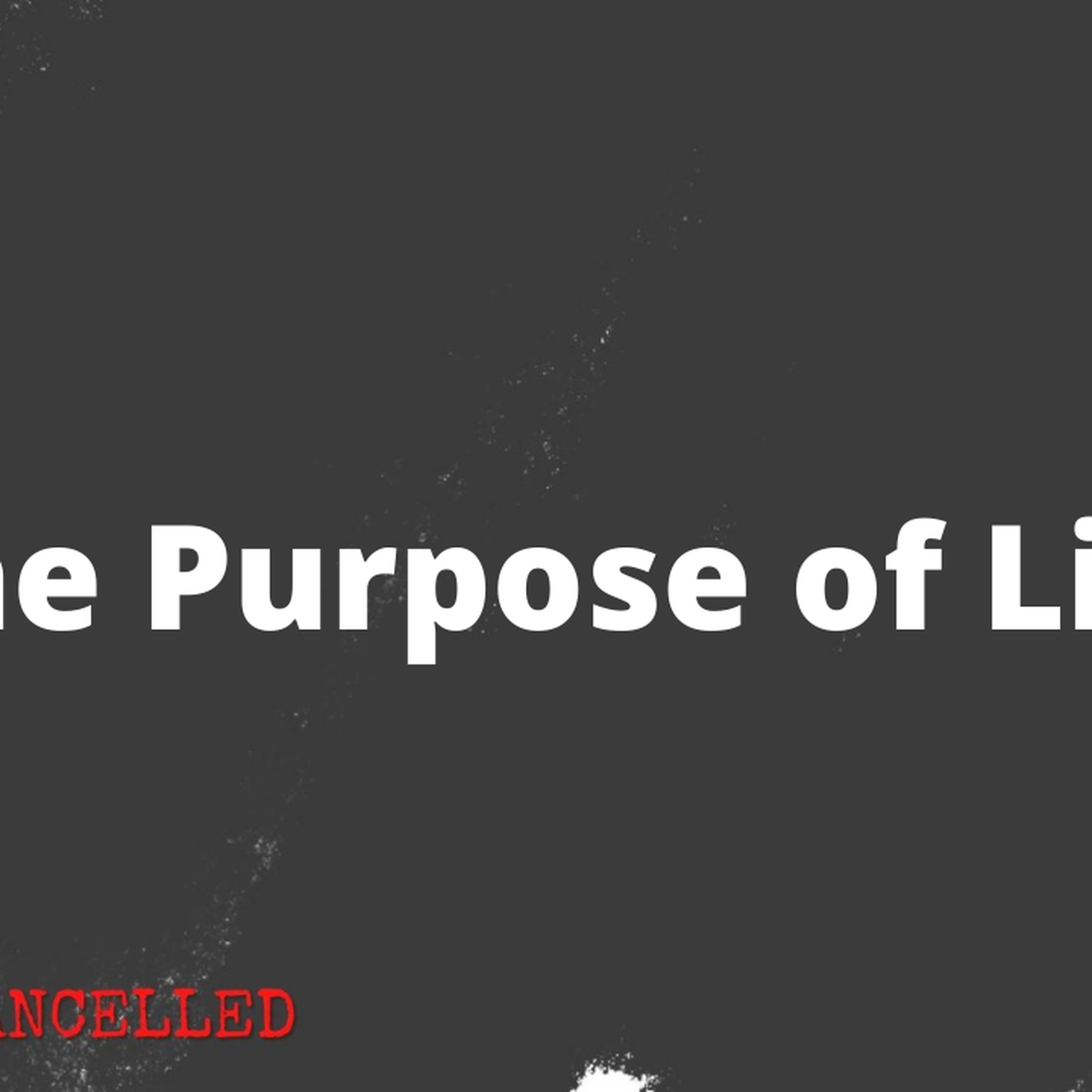 God: Cancelled - "The Purpose of Life"