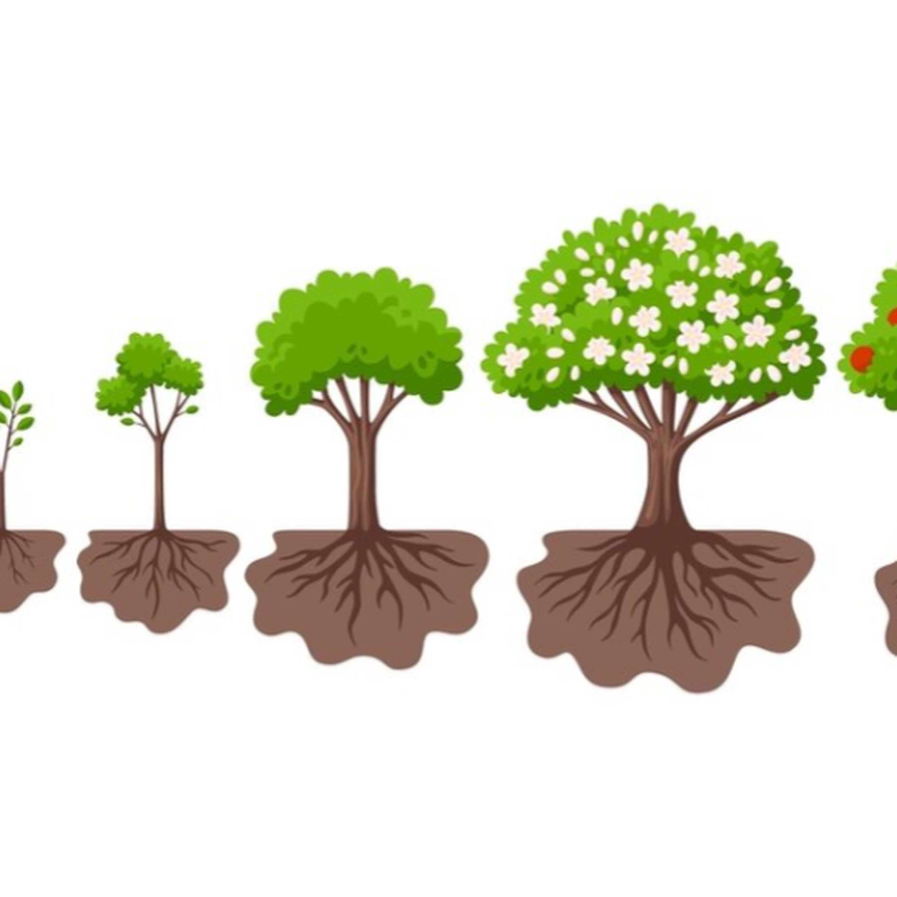 Colossians: Sowing & Reaping