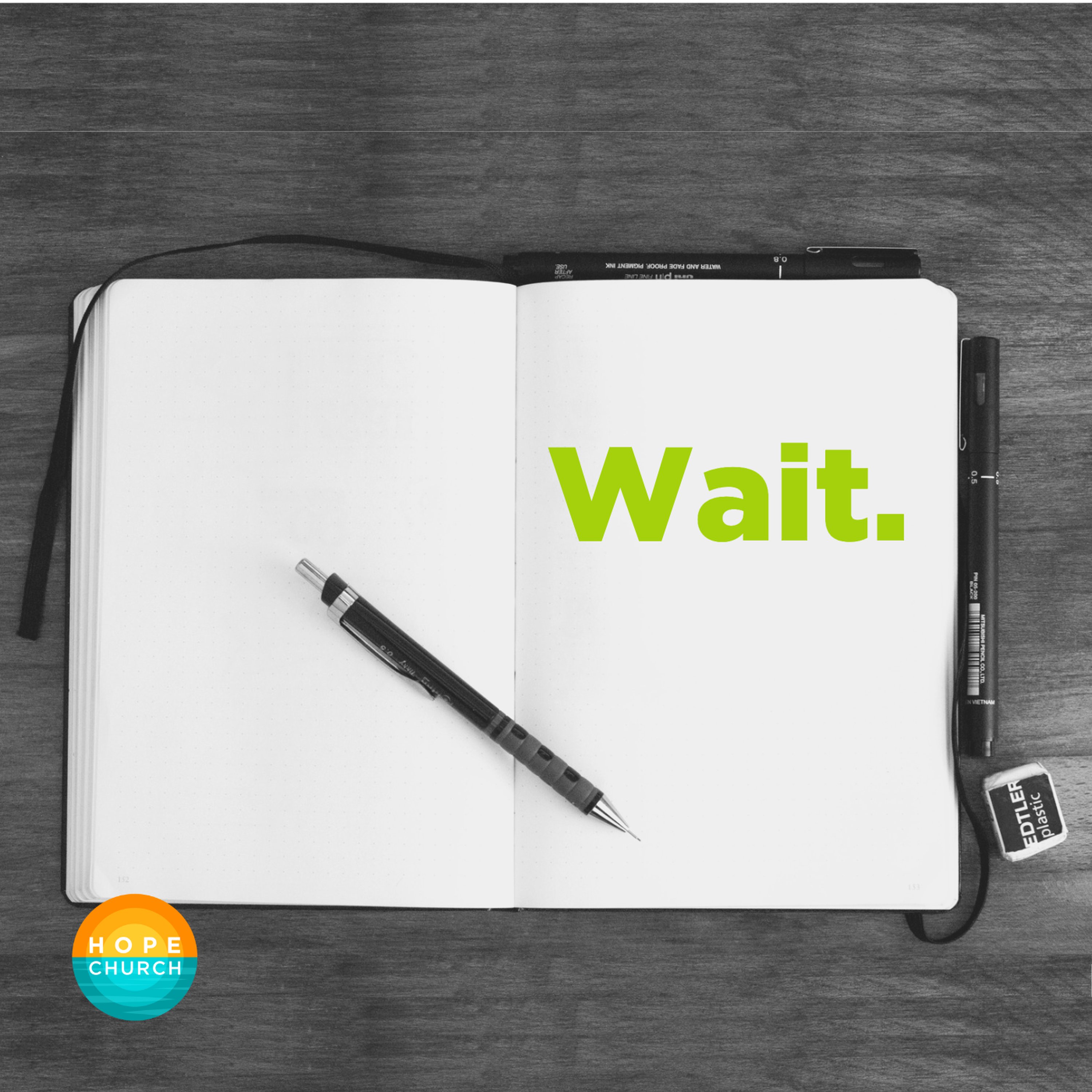 Wait | Craig Roberts episode artwork