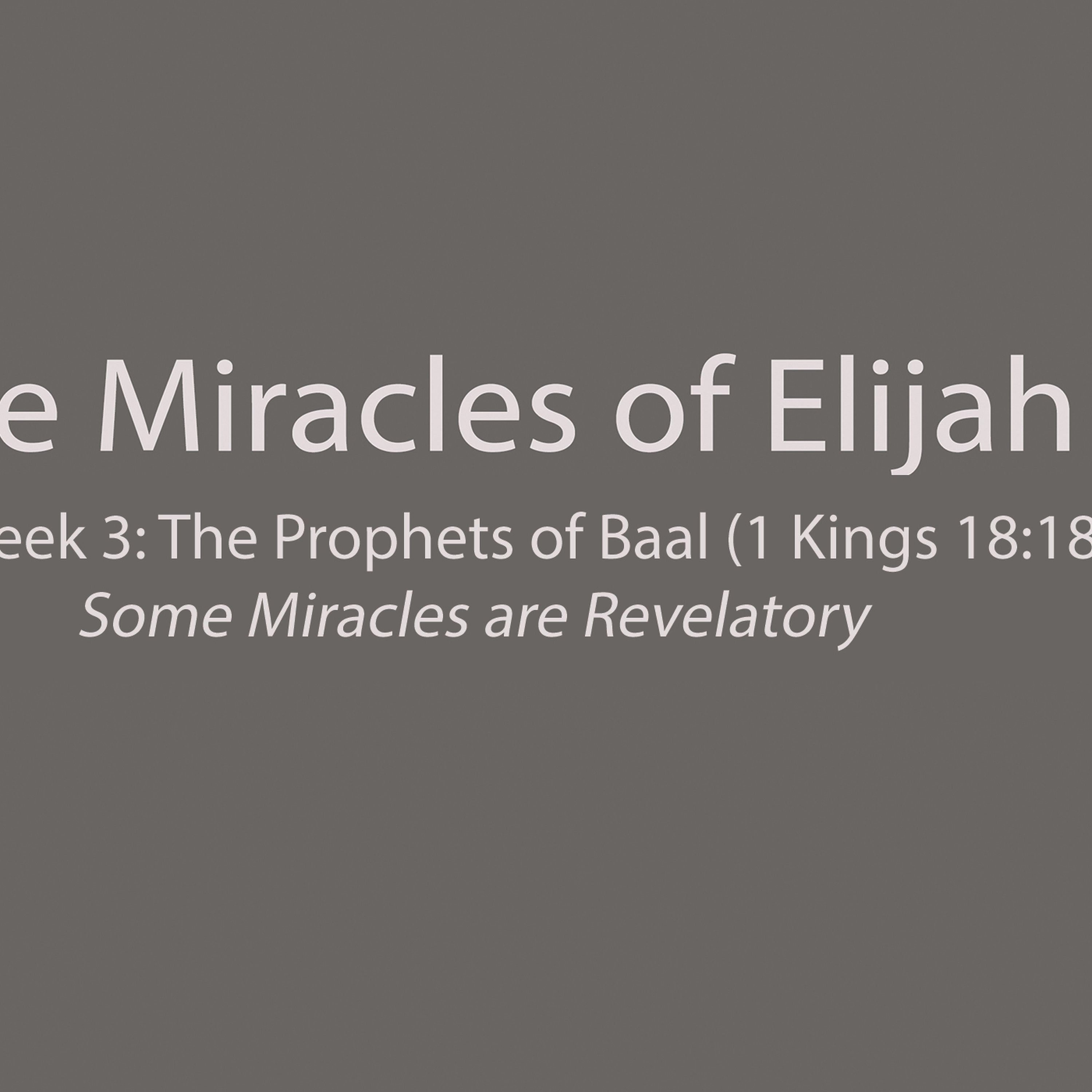 The Prophets of Baal (I Kings 18:18-19) episode artwork
