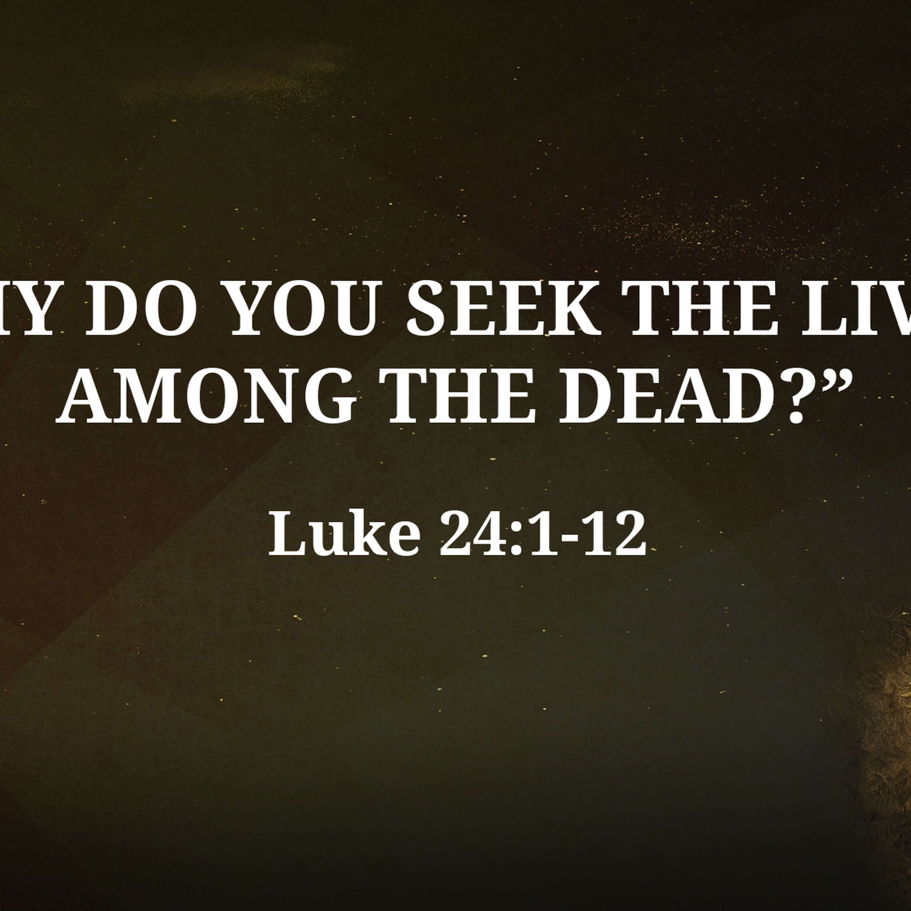 “Why do you Seek the Living among the Dead?” episode artwork