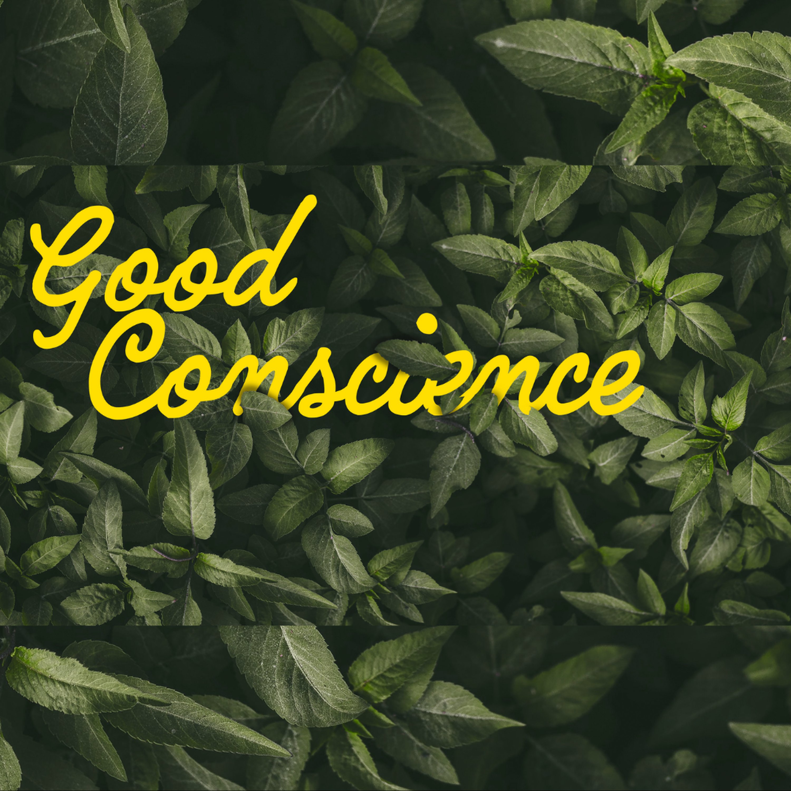 Good Conscience episode artwork