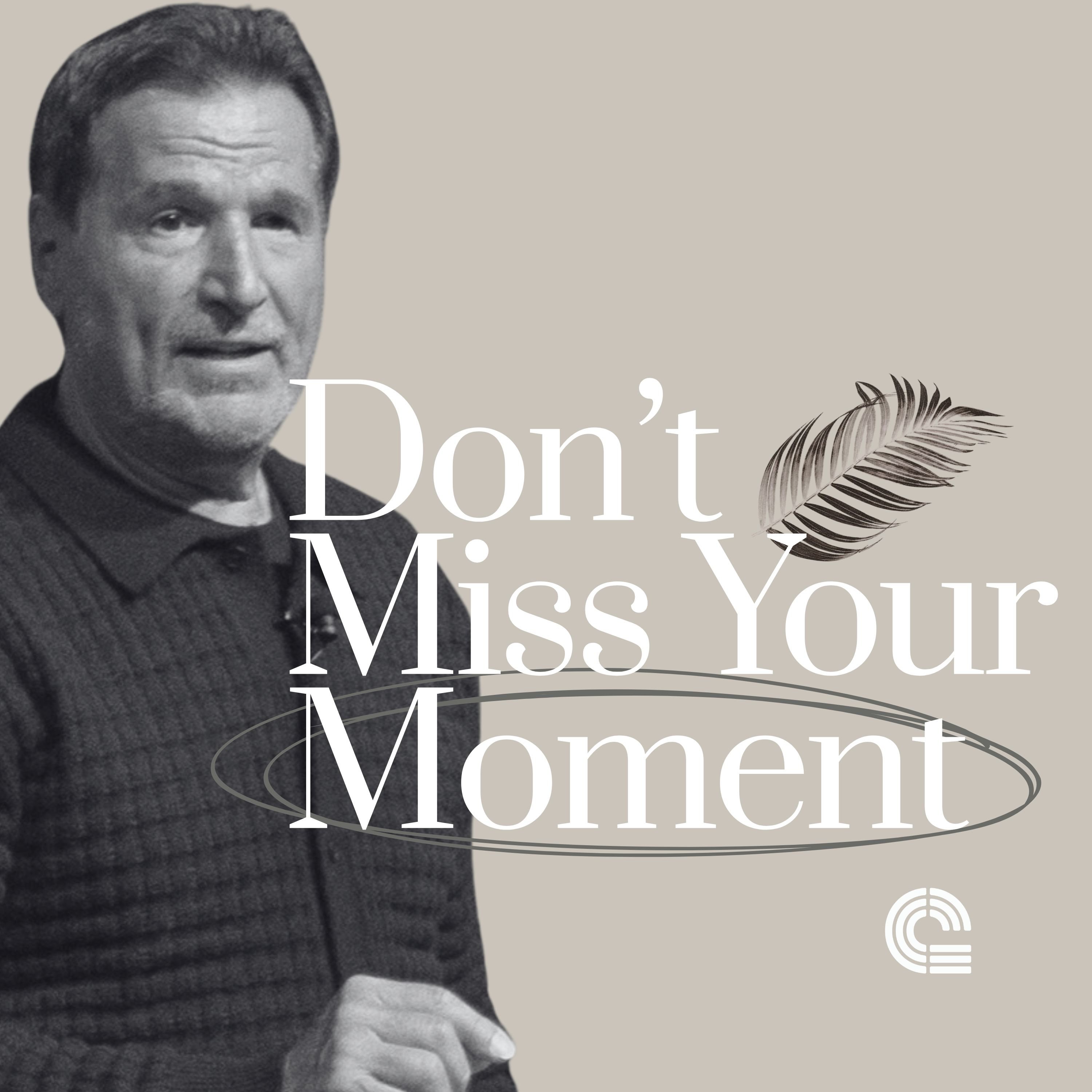 Don’t Miss Your Moment episode artwork