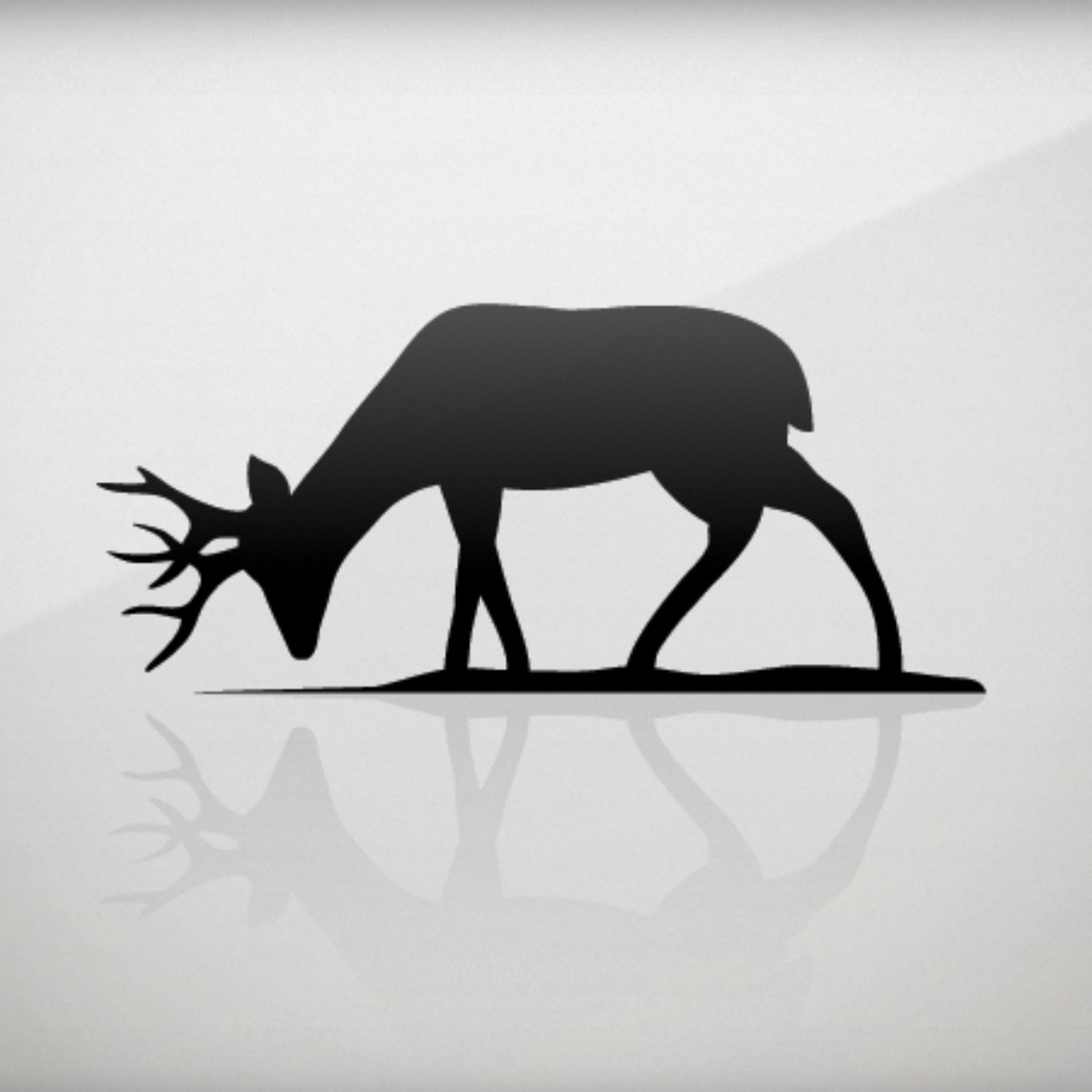 Covenant Fellowship Church