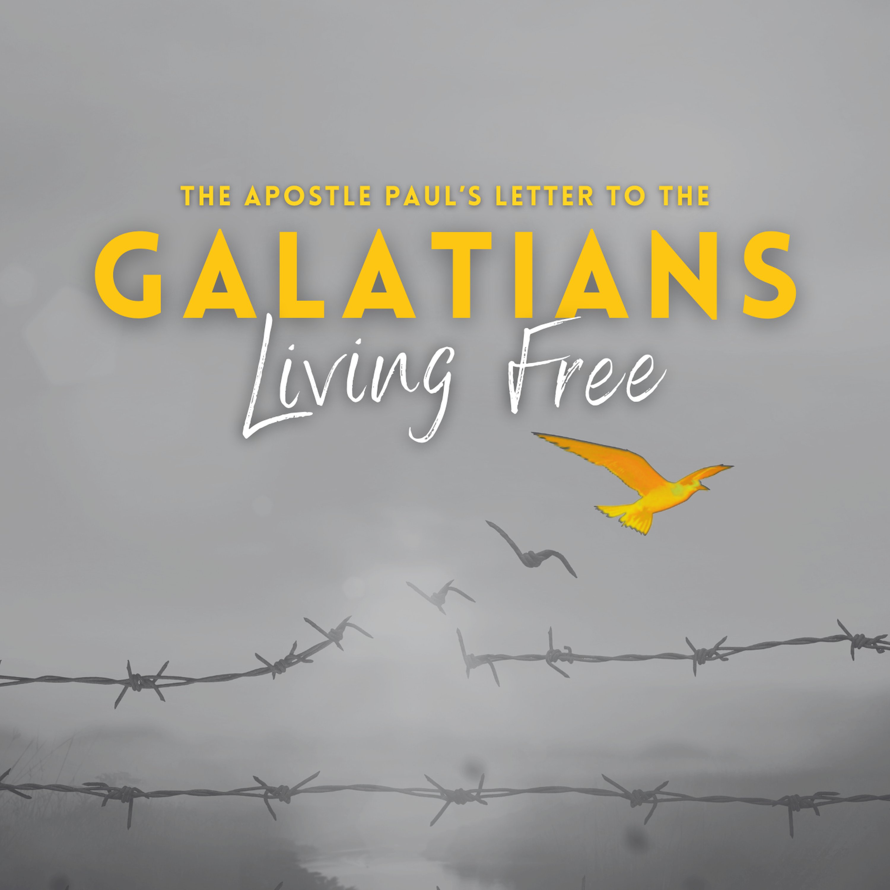 Galatians 5:16-6:18 / Gavin Parsons / 1st September 2024 episode artwork