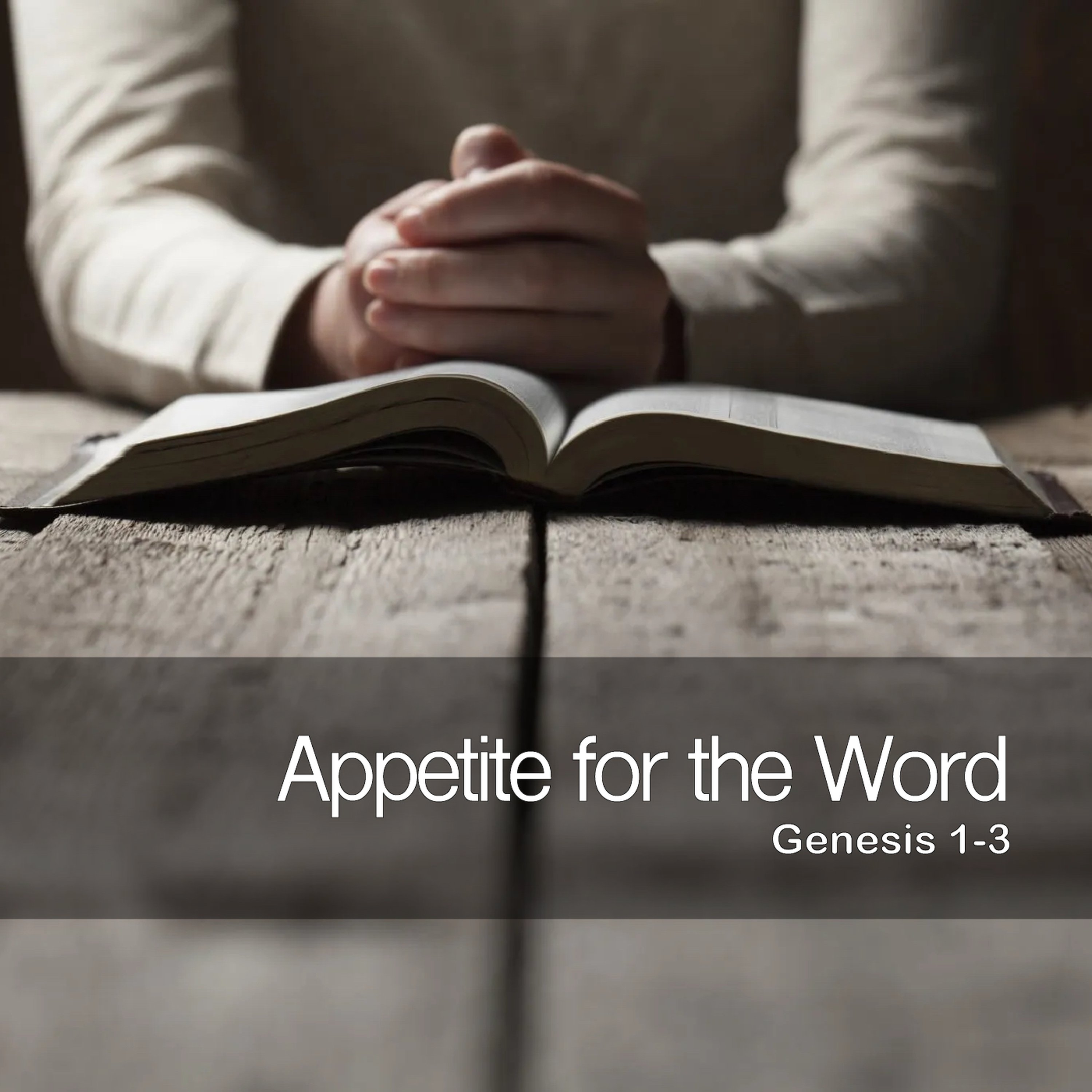 Appetite for the Word episode artwork