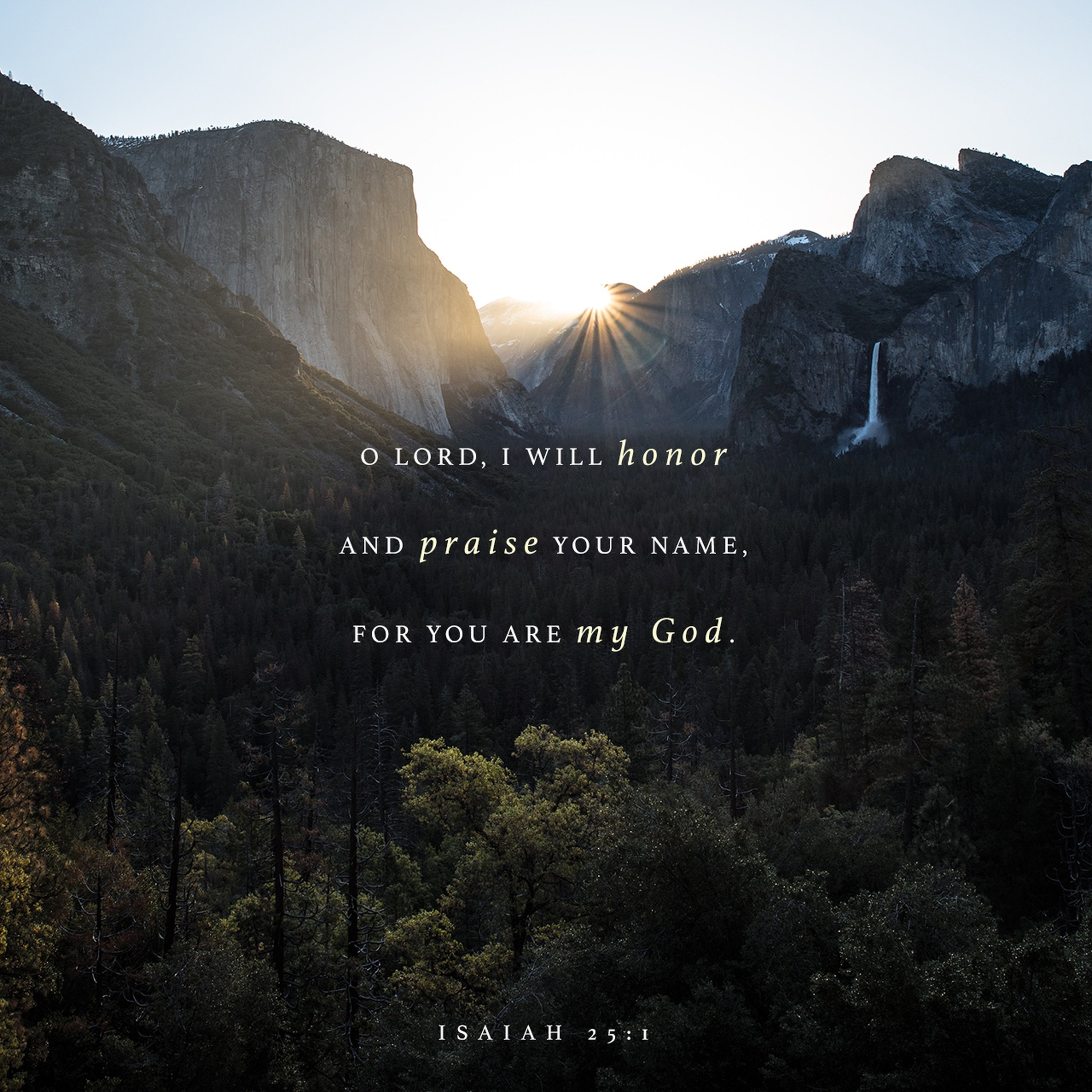 On the 40th Day