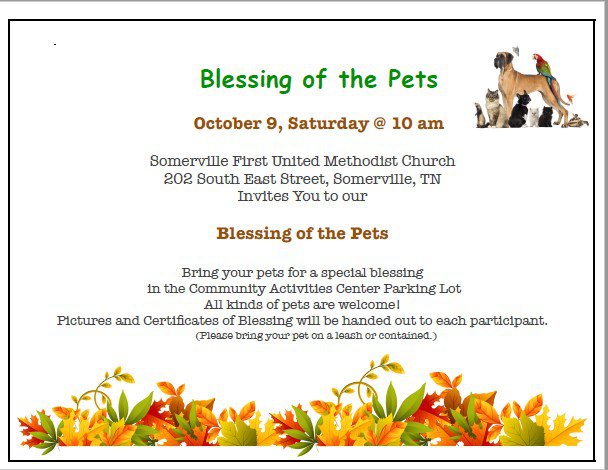 Blessing of the pets