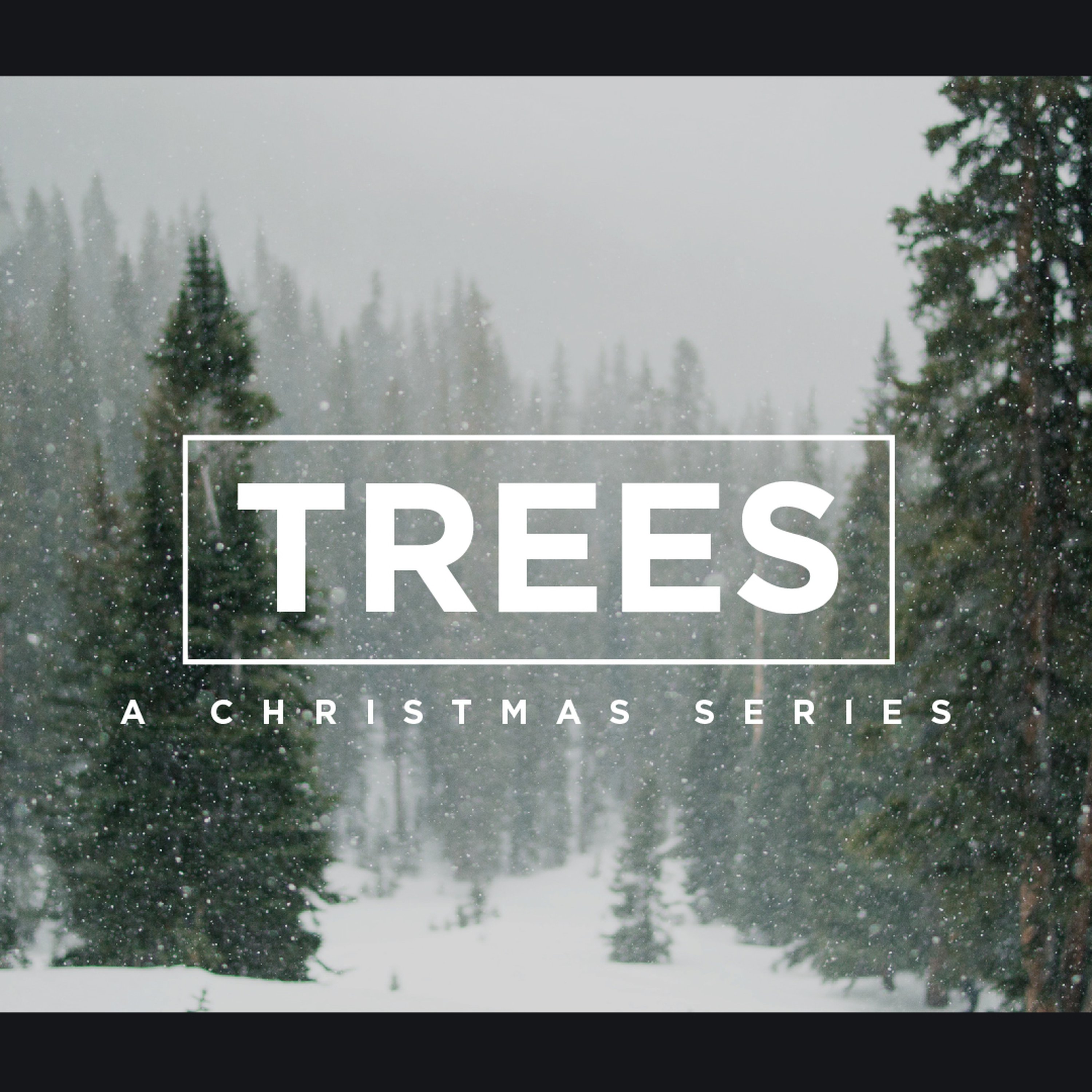 Between the Trees episode artwork