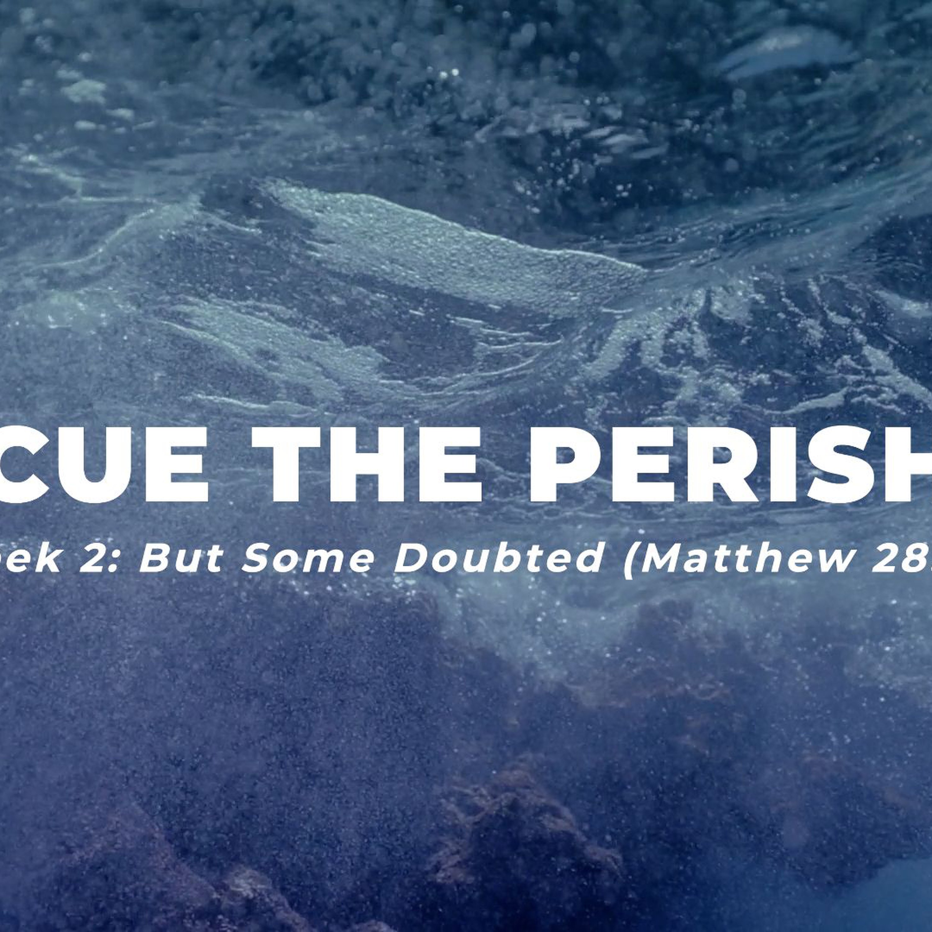 Week 2: But Some Doubted (Matthew 28:17) episode artwork