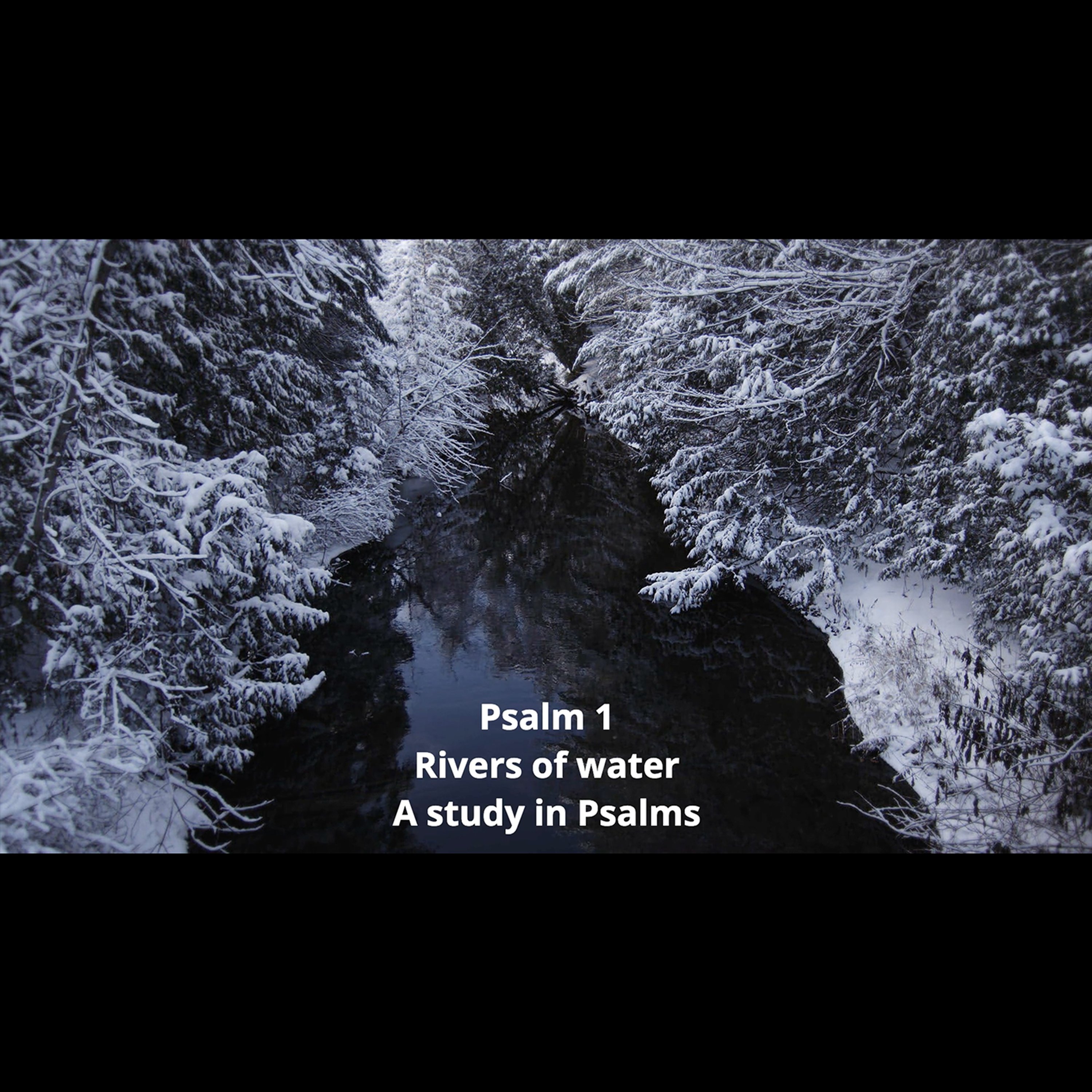 Psalm 1 | Rivers of water episode artwork