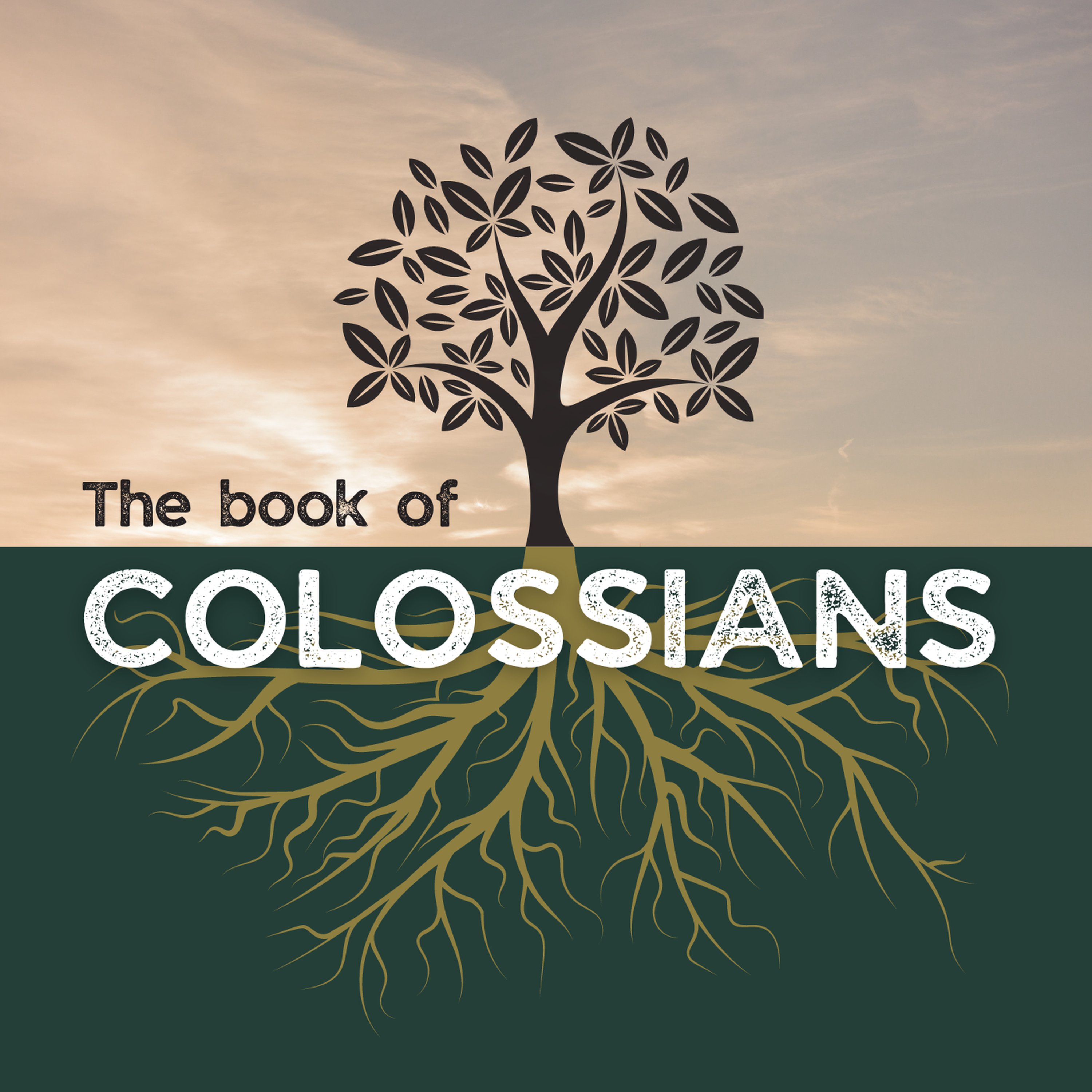 Colossians 2:11-23 Andrew Rees episode artwork
