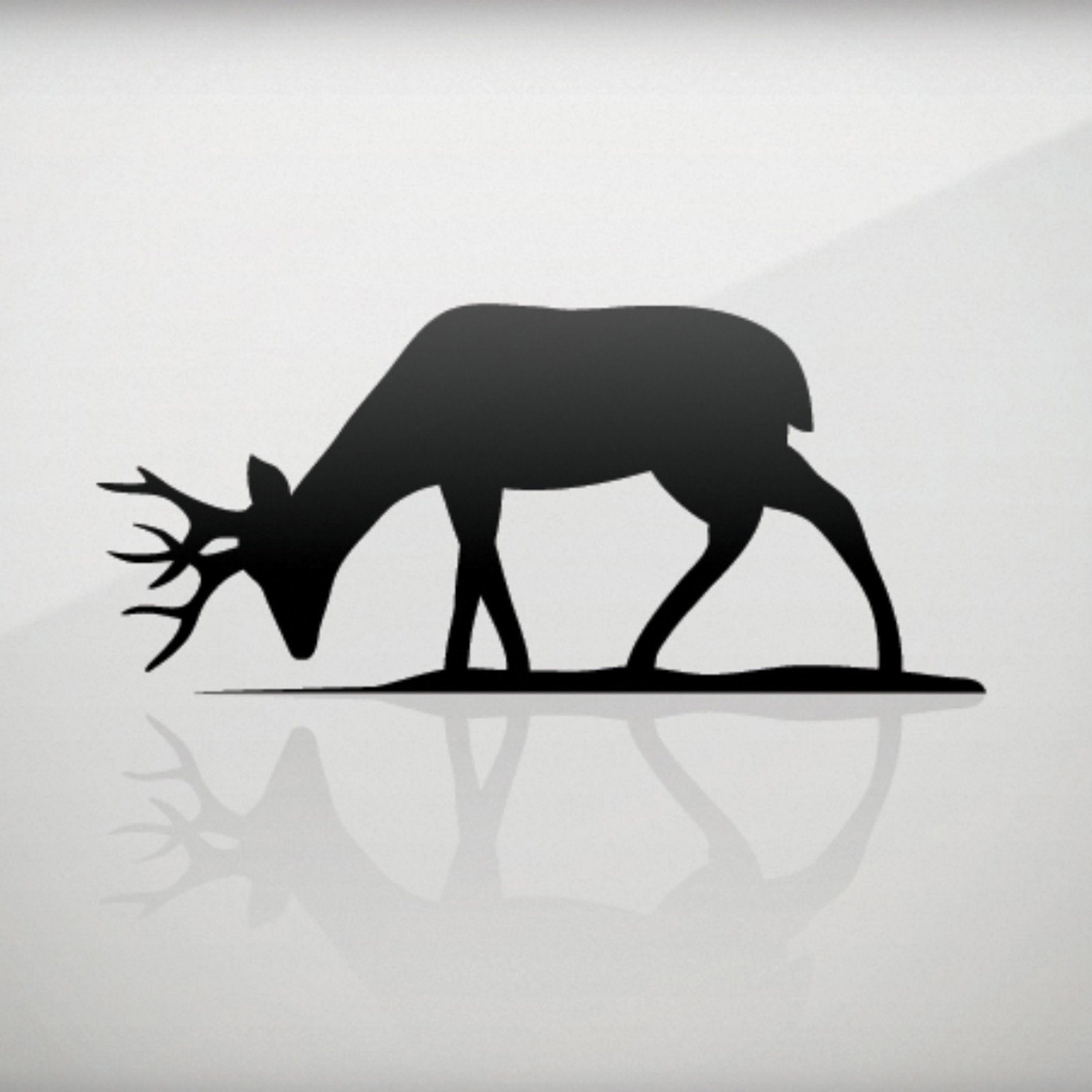 Covenant Fellowship Church