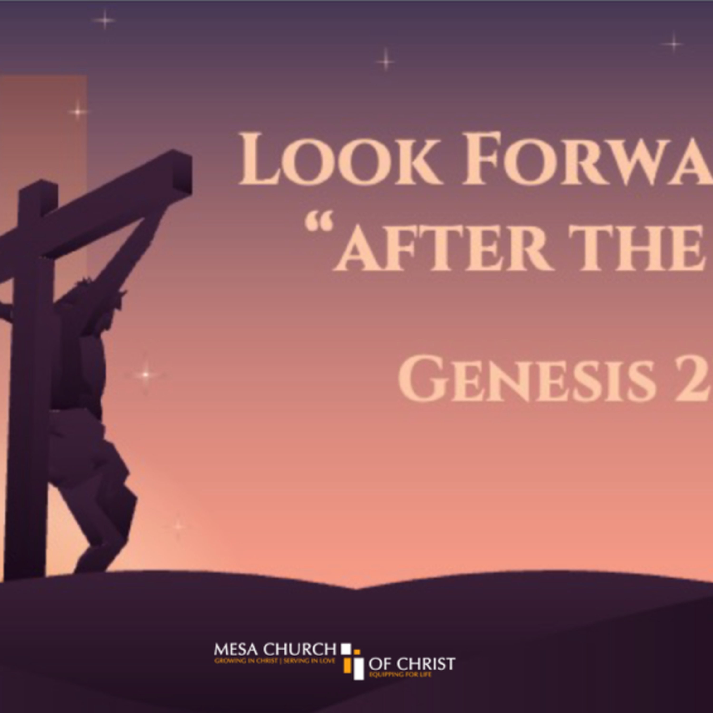 Look Forward to "After the Fact"