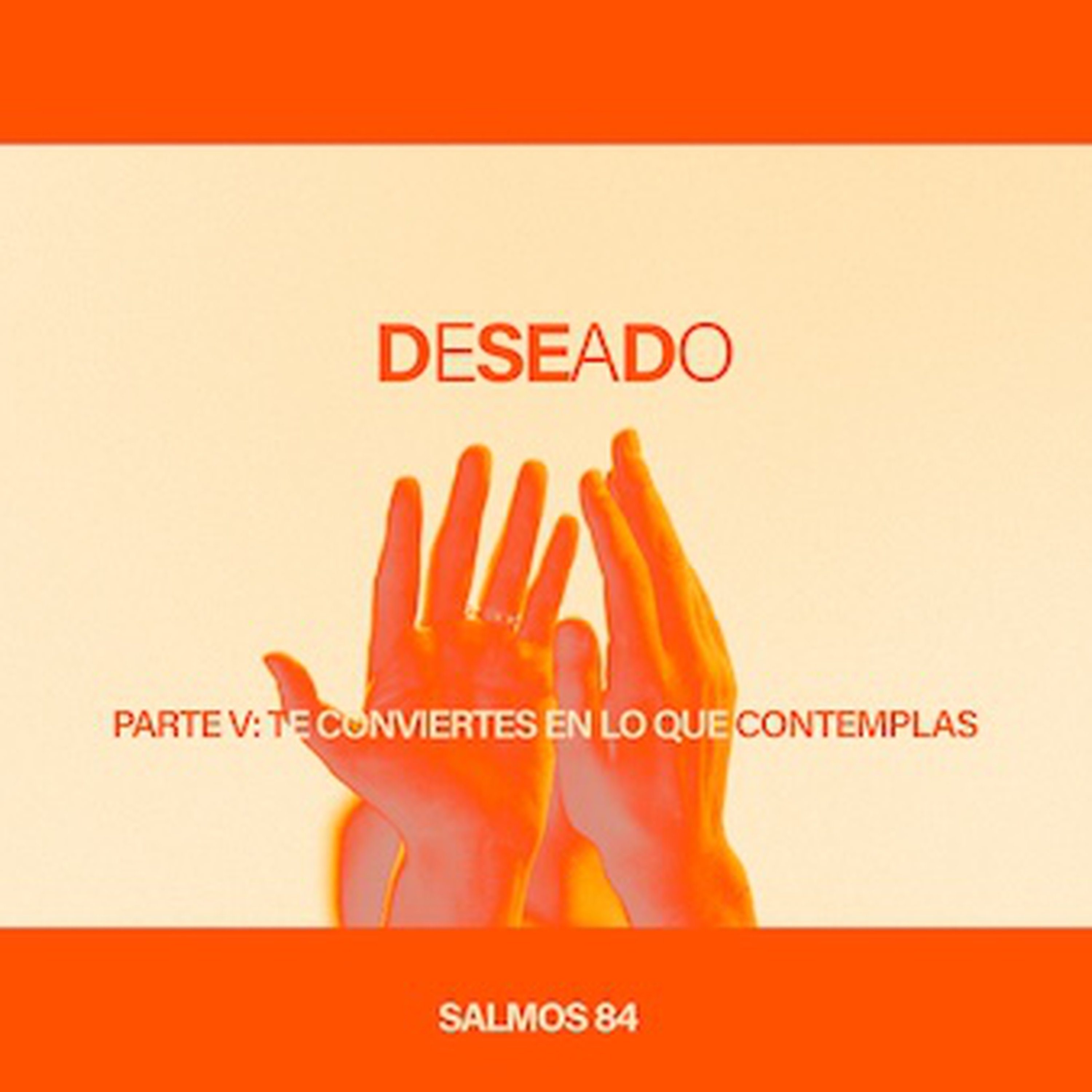 PARTE V: Te conviertes en lo que contemplas