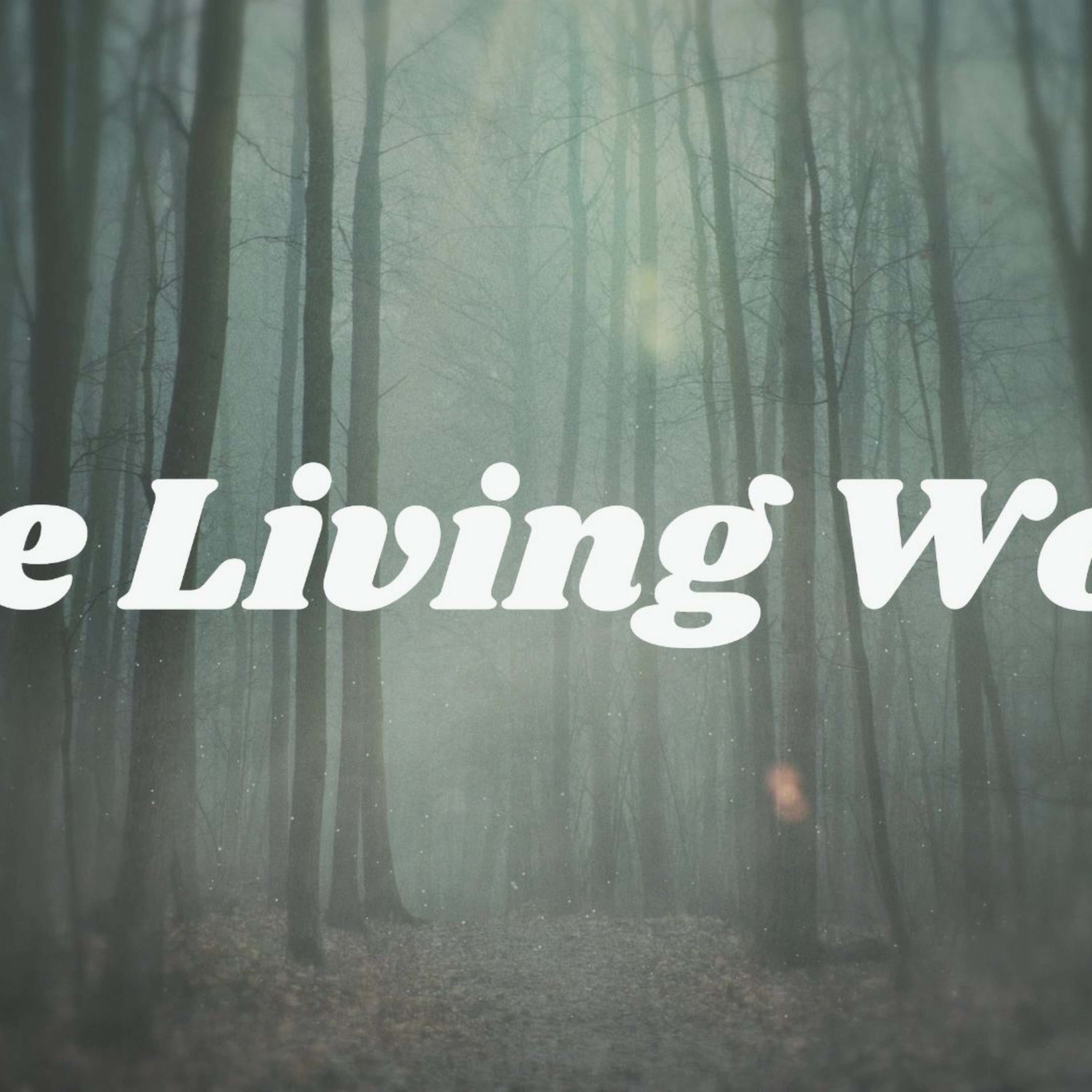 The Living Word episode artwork