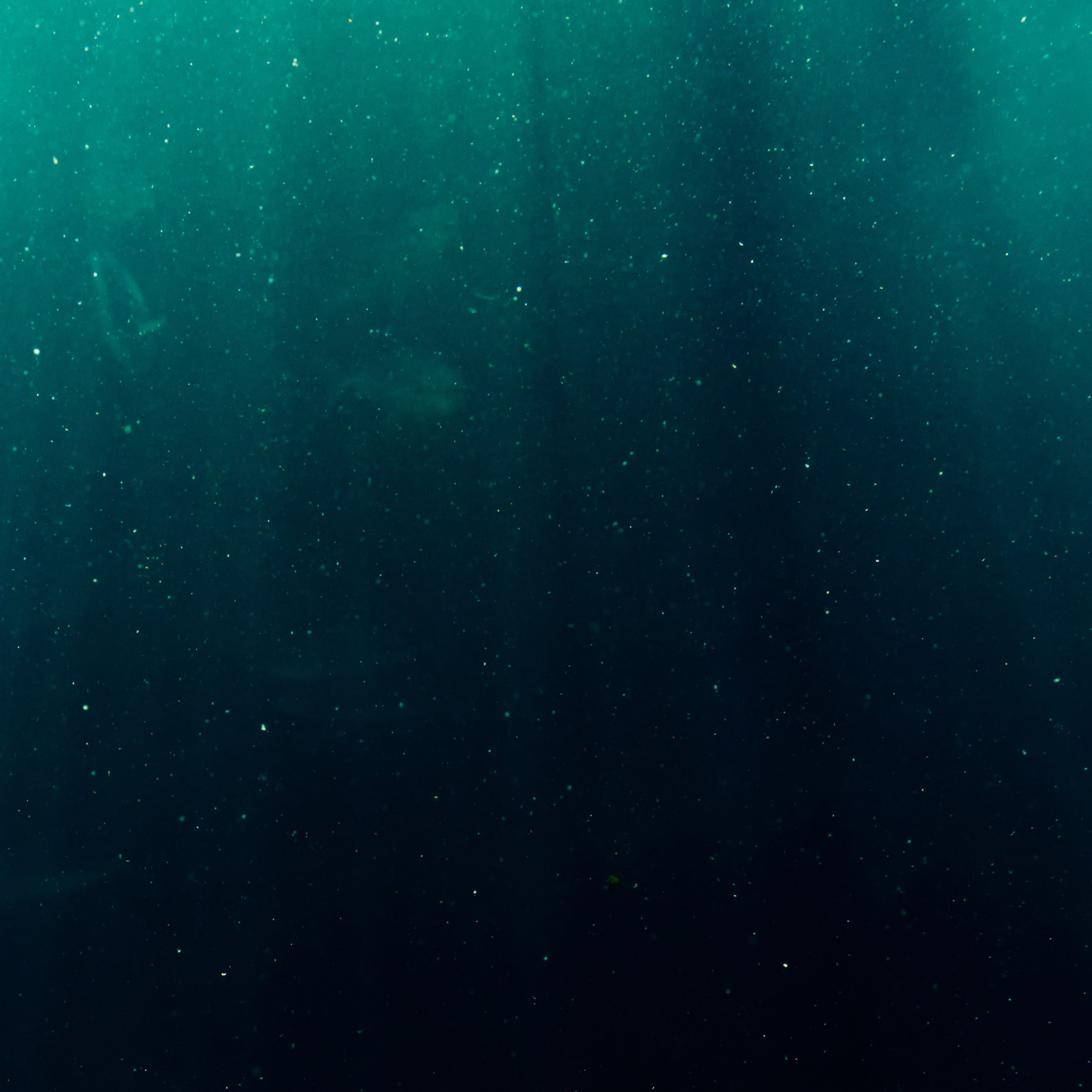 Jonah 1:17-2:10 / Andrew Rees / 9th February 2025 episode artwork