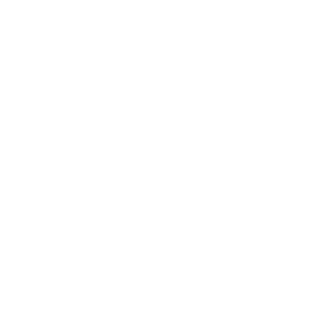Beth Ariel LA Hub.