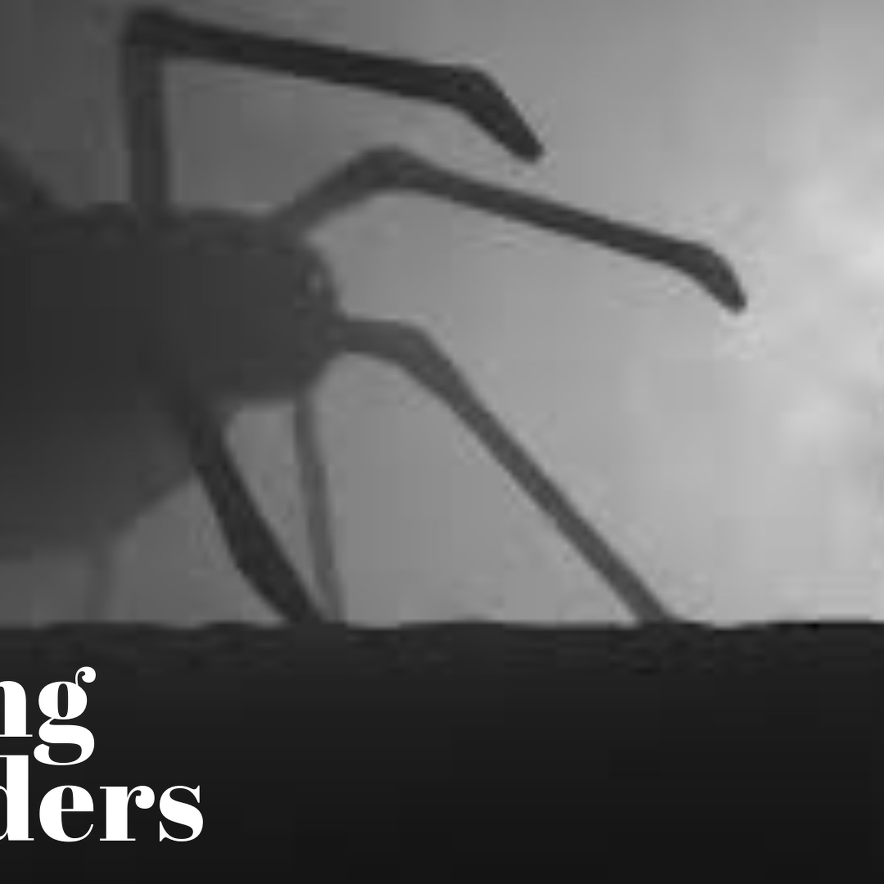 Killing Spiders episode artwork
