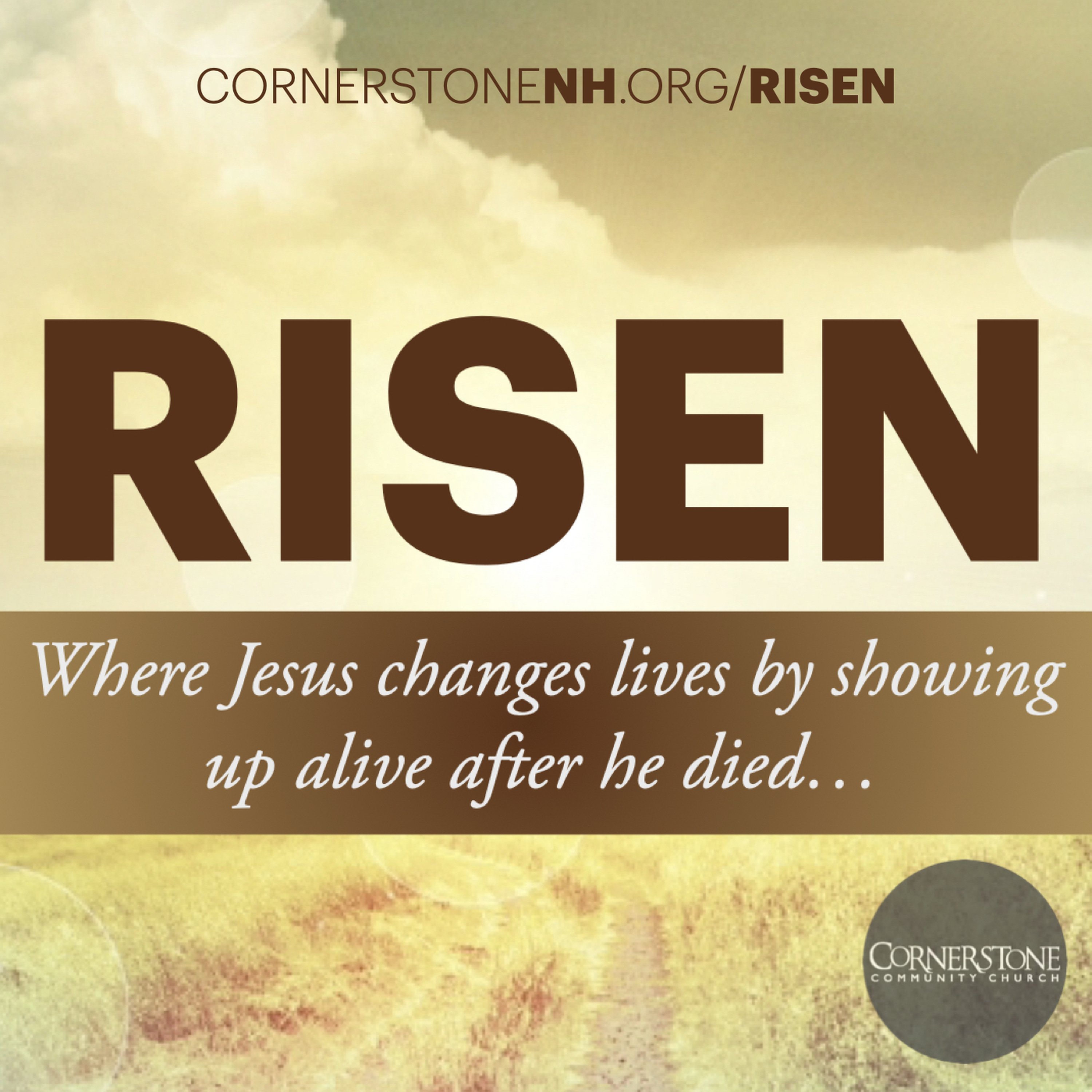 Shattered Expectations // Risen Part One episode artwork