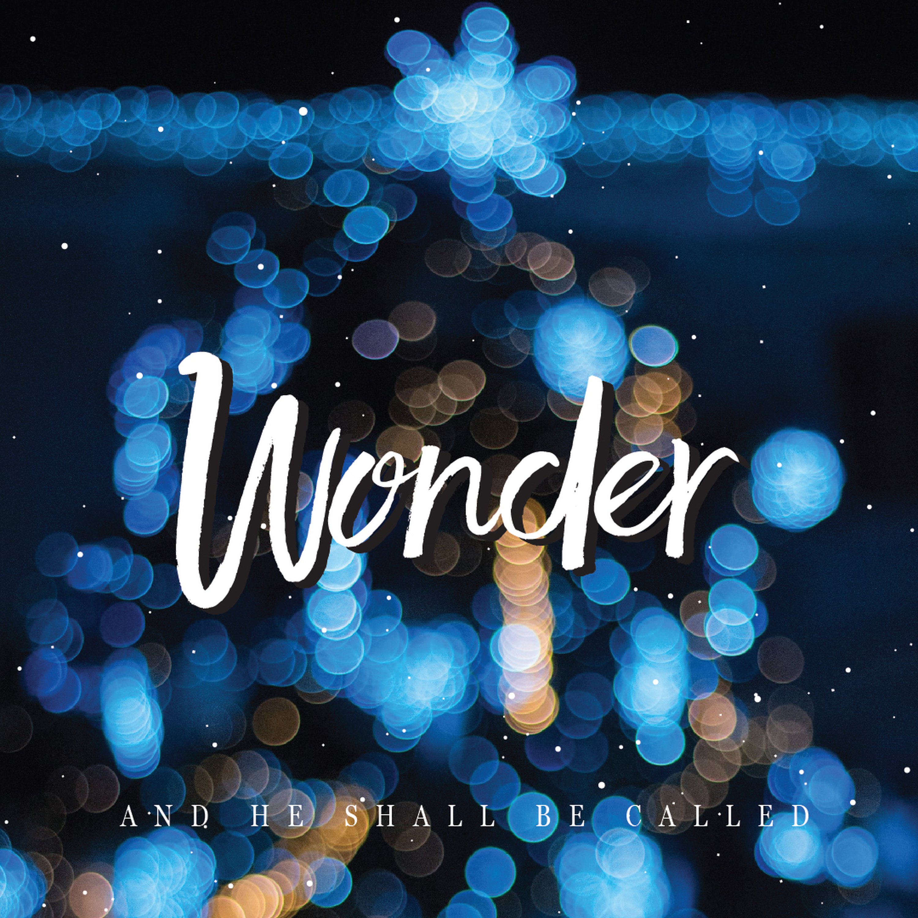Wonderful Counselor episode artwork