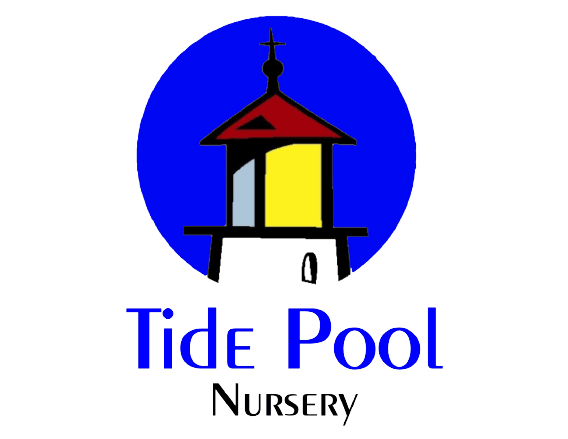 Tide Pool logo