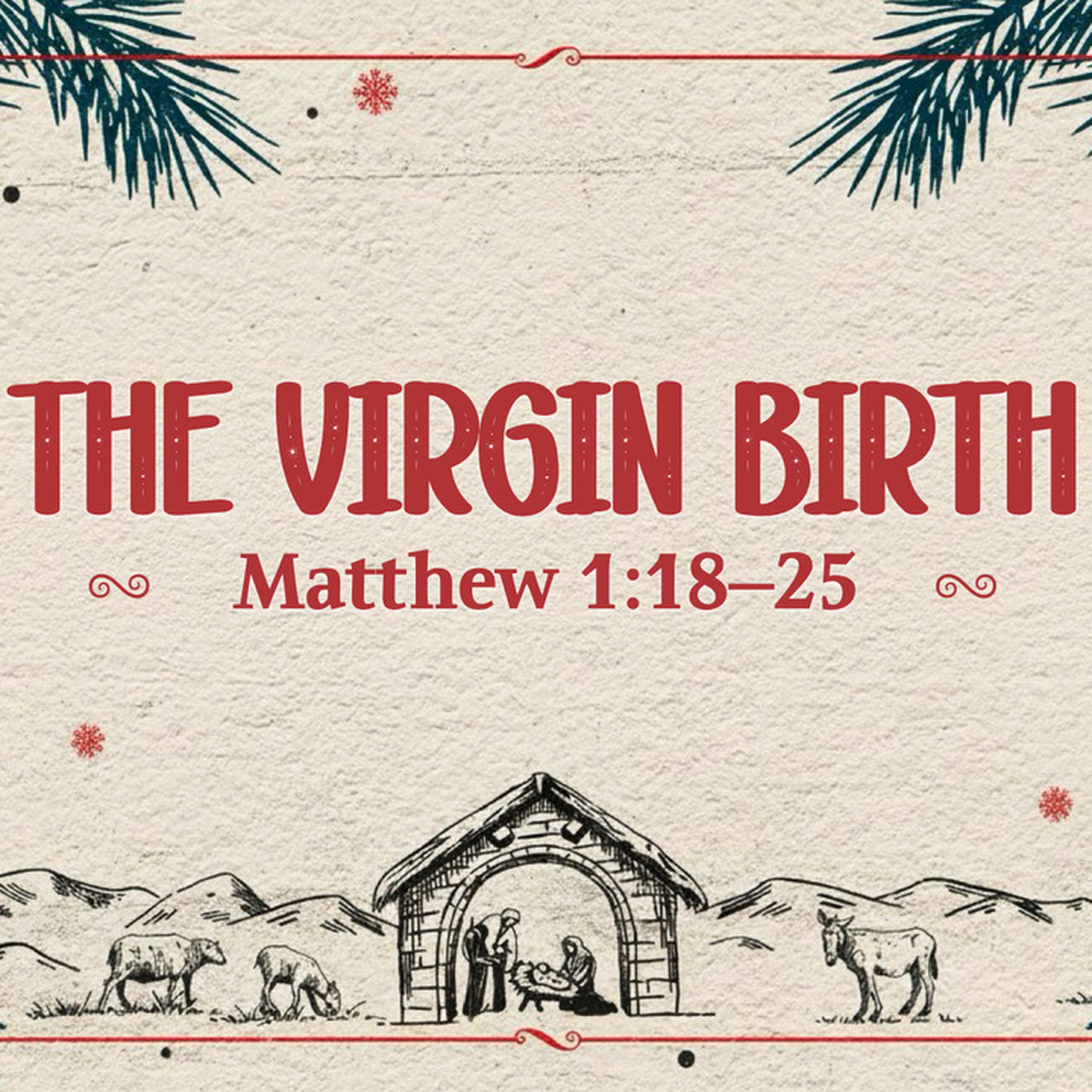 The Virgin Birth episode artwork