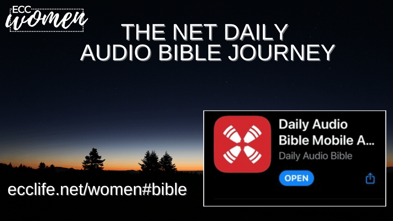 NET Daily Audio Bible 2022