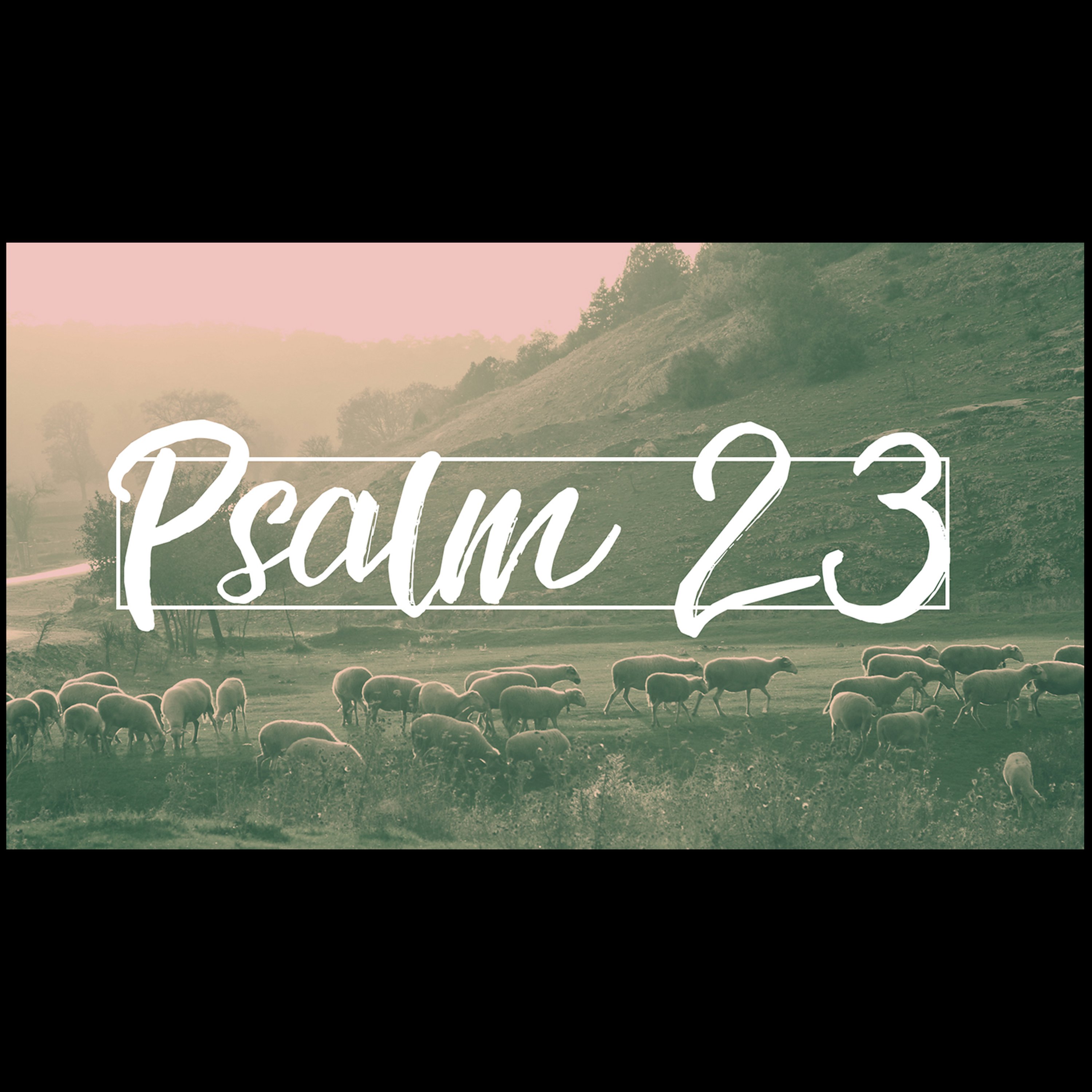 Psalm 23 | The LORD is MY Shepherd. episode artwork