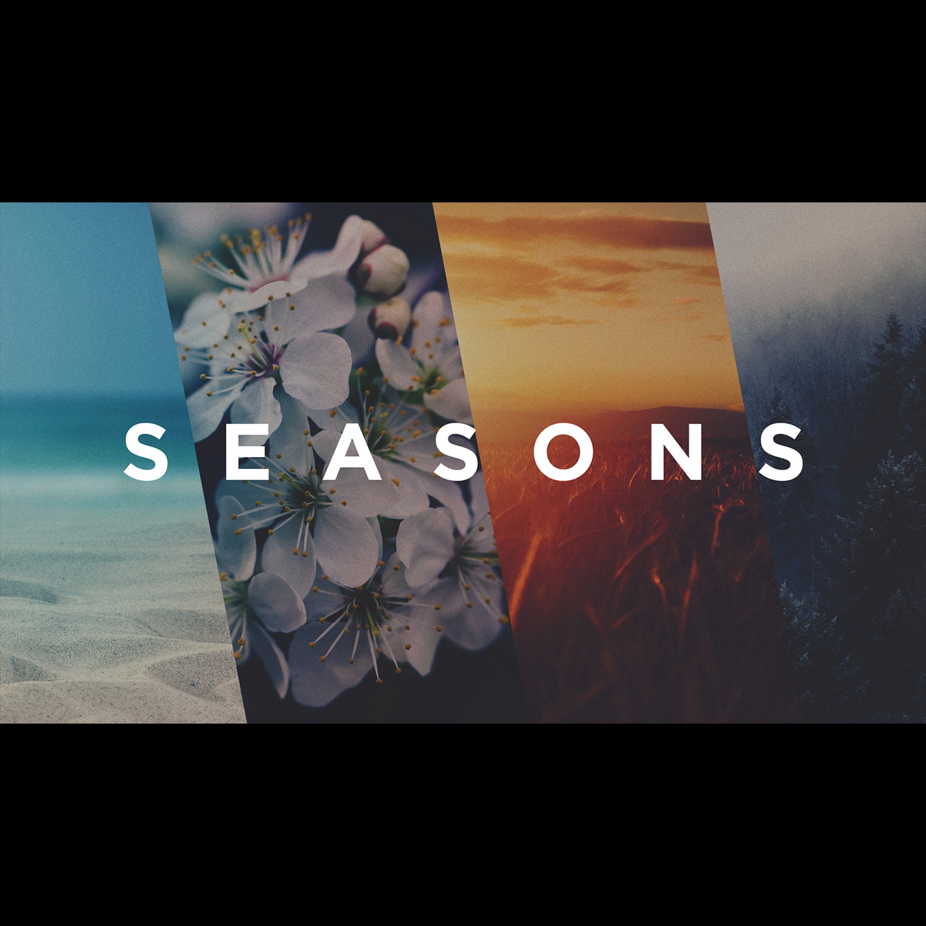 Joshua 1:1-9 | Seasons Change- Jason Sanchez episode artwork